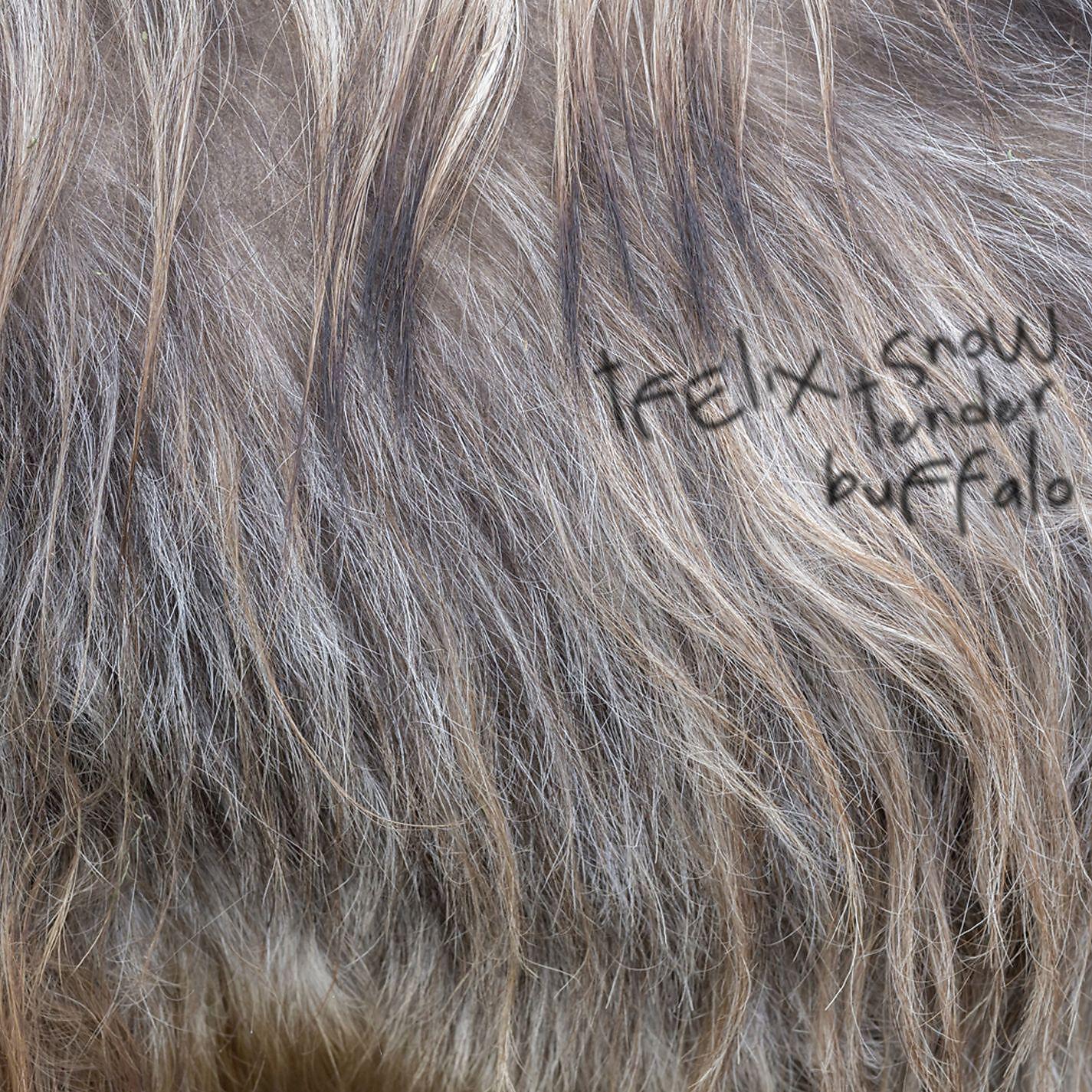 Felix Snow - Tender Buffalo
