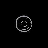 FLESH - Не для всех