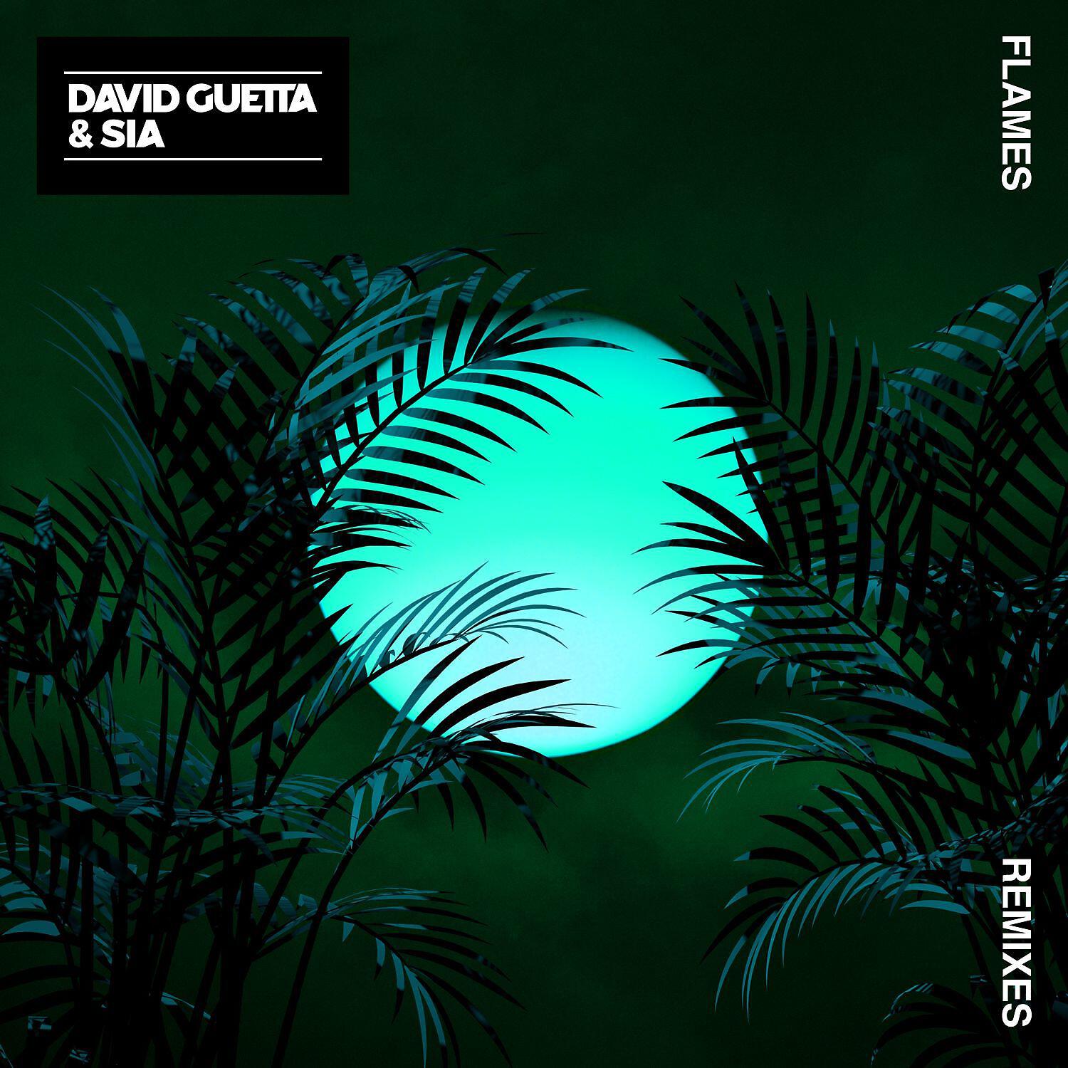 David Guetta - Flames (Pink Panda Remix)