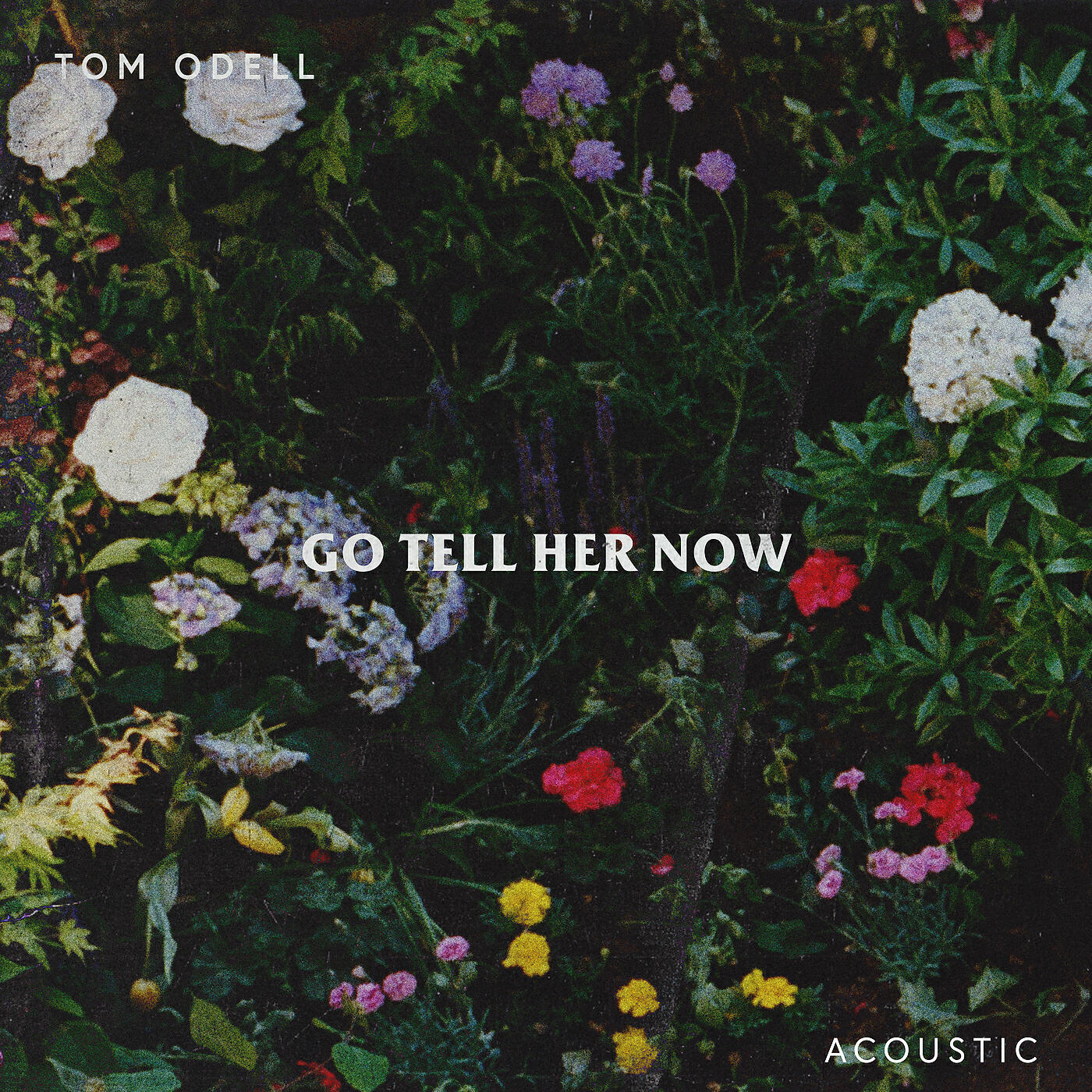 Tom Odell - Go Tell Her Now (Acoustic)