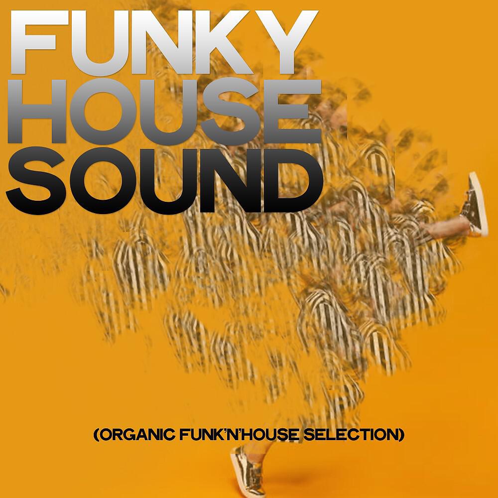 Disco Flava - Disco Flava (Funk & Disco Mix)