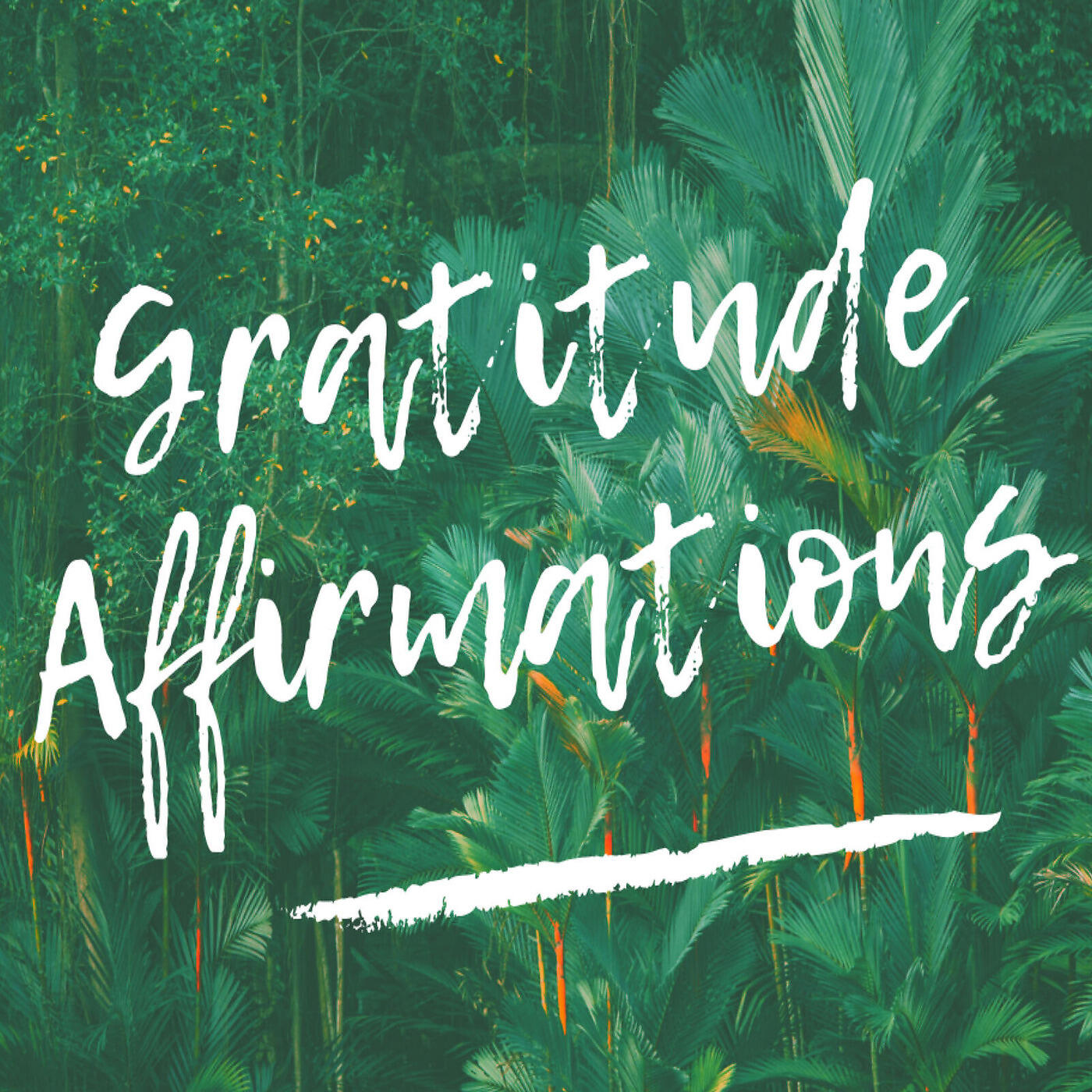 DY - Gratitude Affirmations