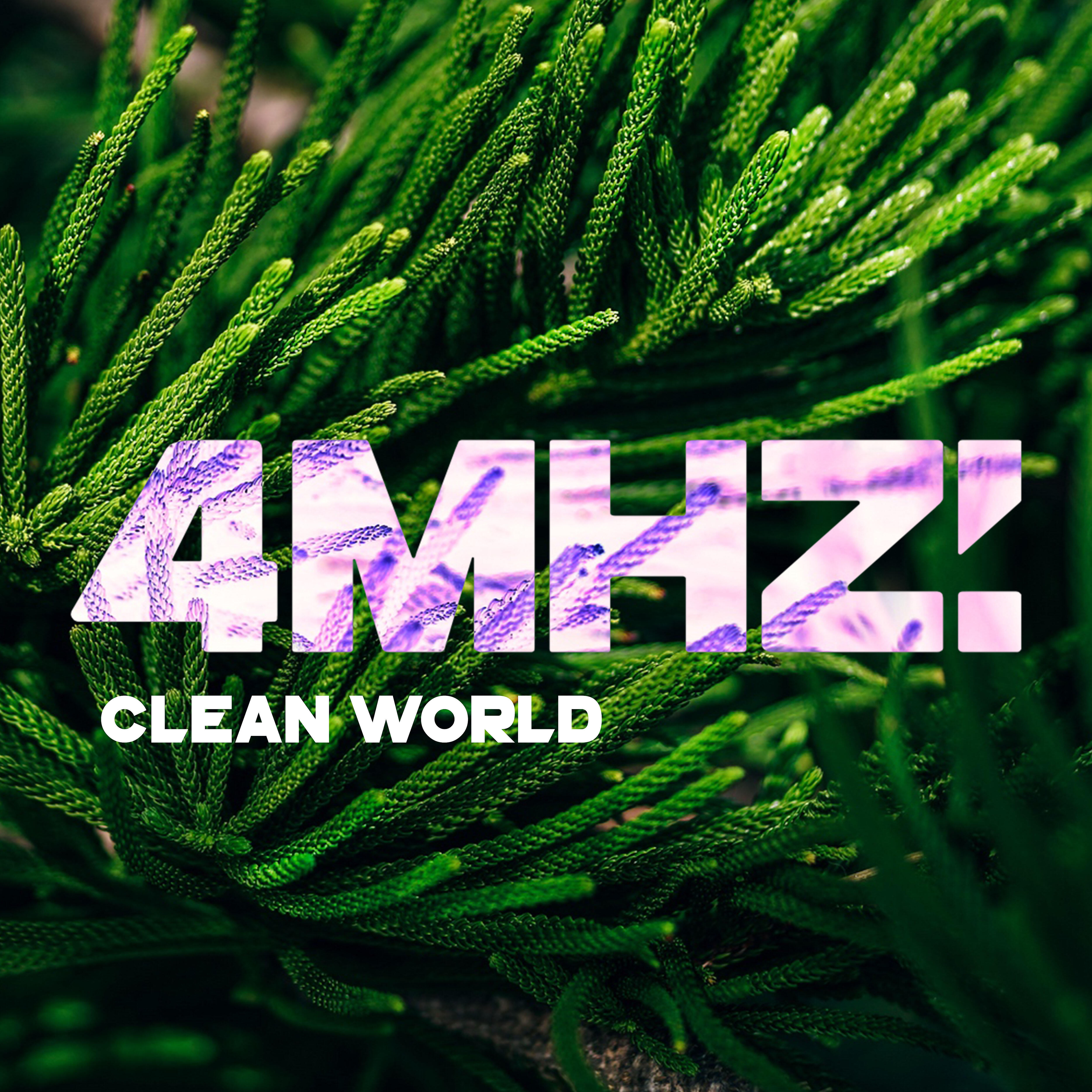 4MHZ - Clean World