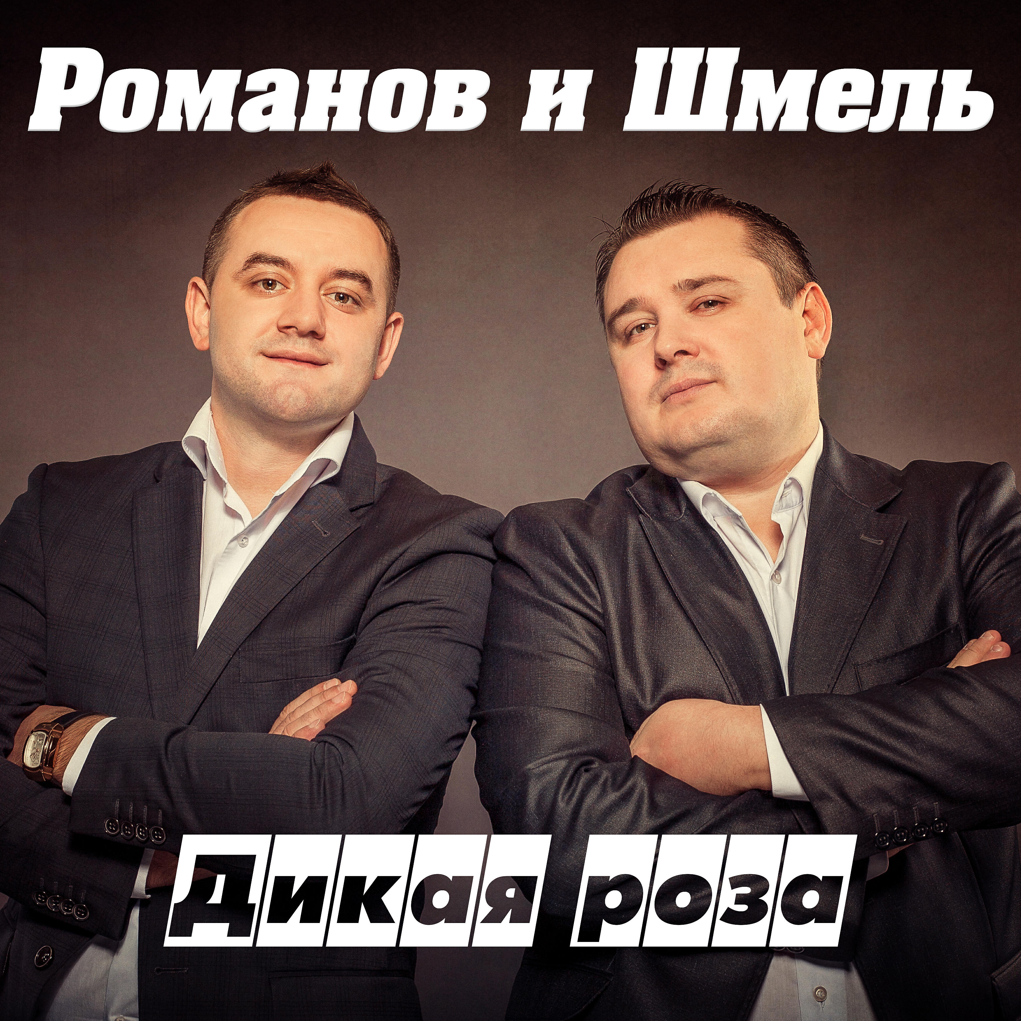 Романов - Дикая роза