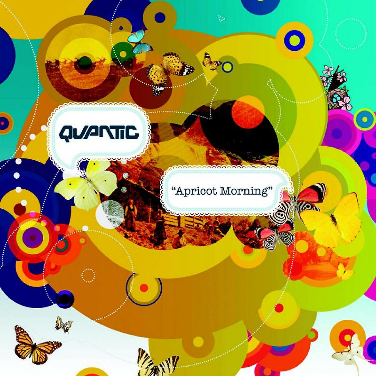 Quantic - Wider Than the Sky