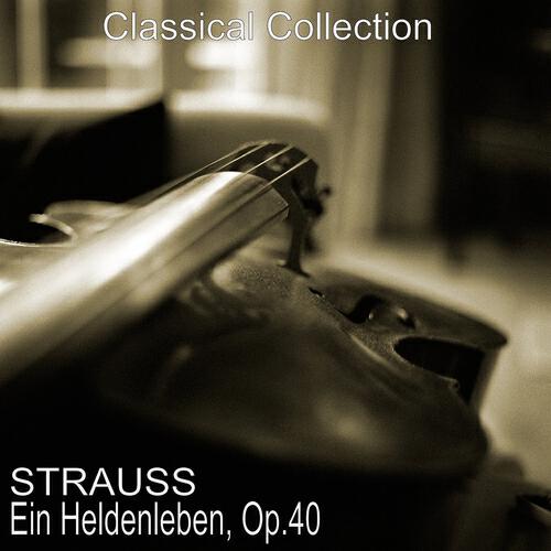 Berliner Philharmoniker - Ein Heldenleben, Op. 40: No. 6, Des Helden Weltflucht und Vollendung