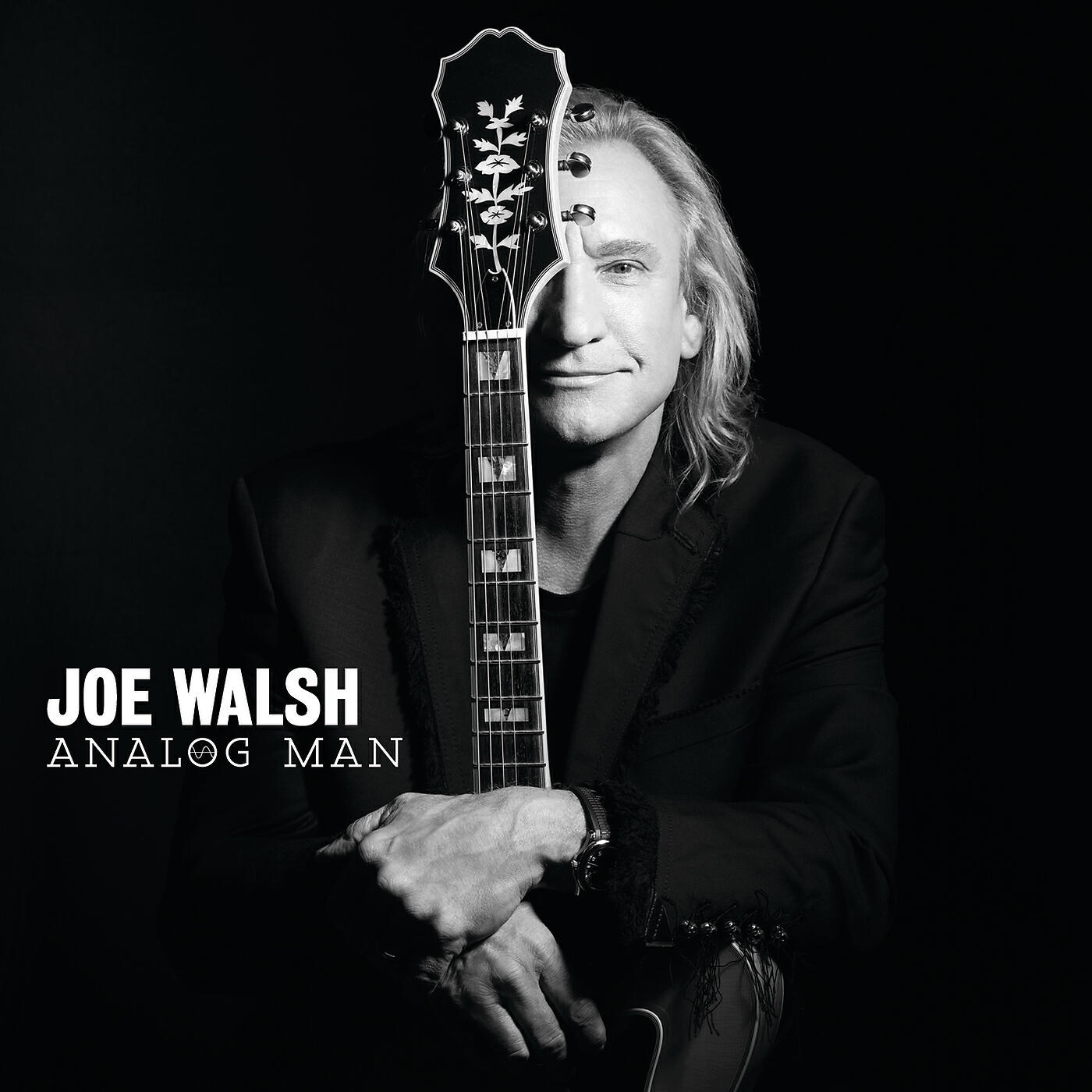 Joe Walsh - Wrecking Ball