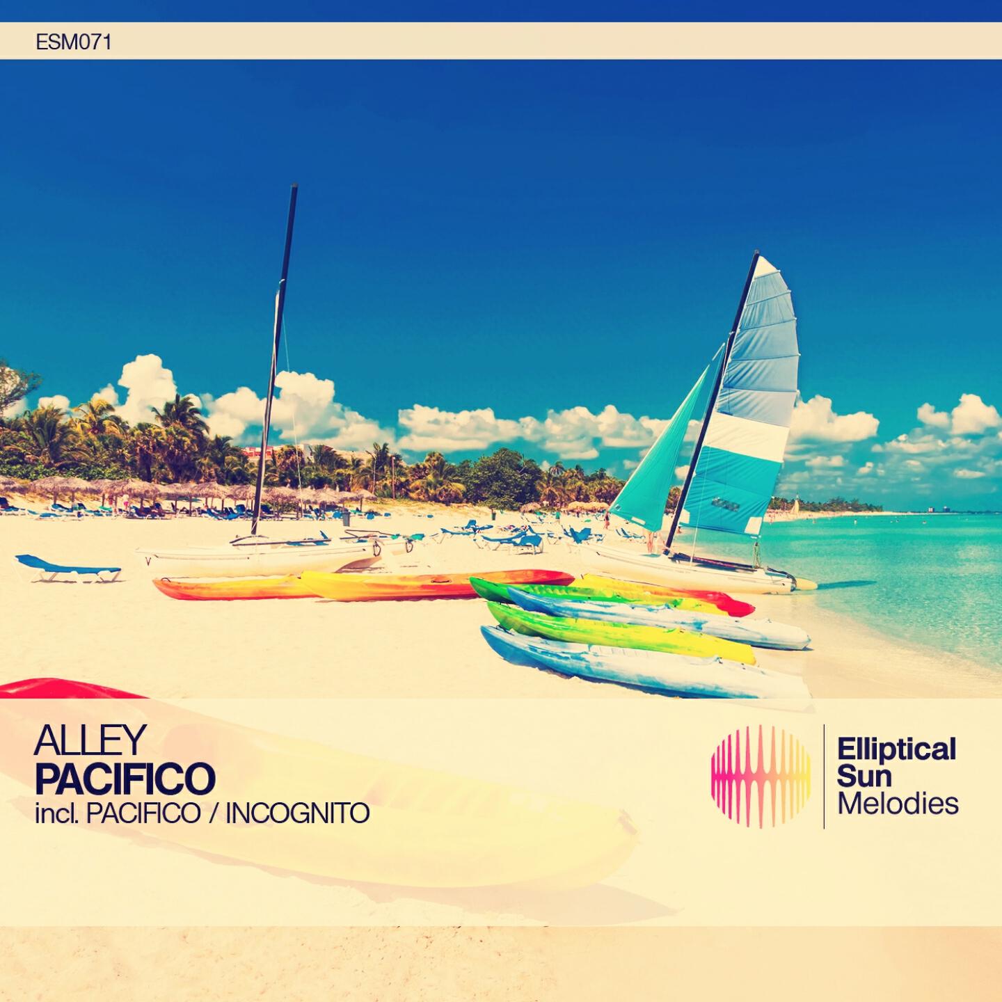 Alley - Pacifico