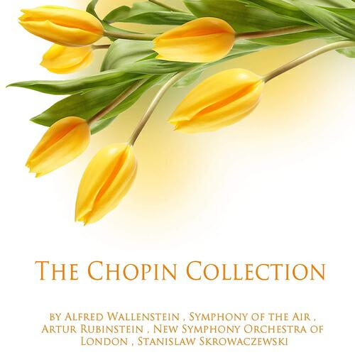 Arthur Rubinstein - Waltzes, Op. 64: No. 1 in D-Flat Major, 