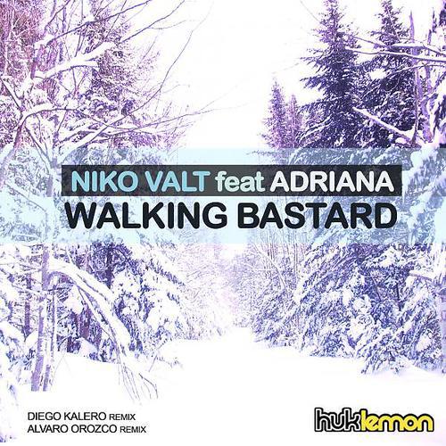Niko Valt - Walking Bastard (feat. Adriana) (Diego Kalero Remix)