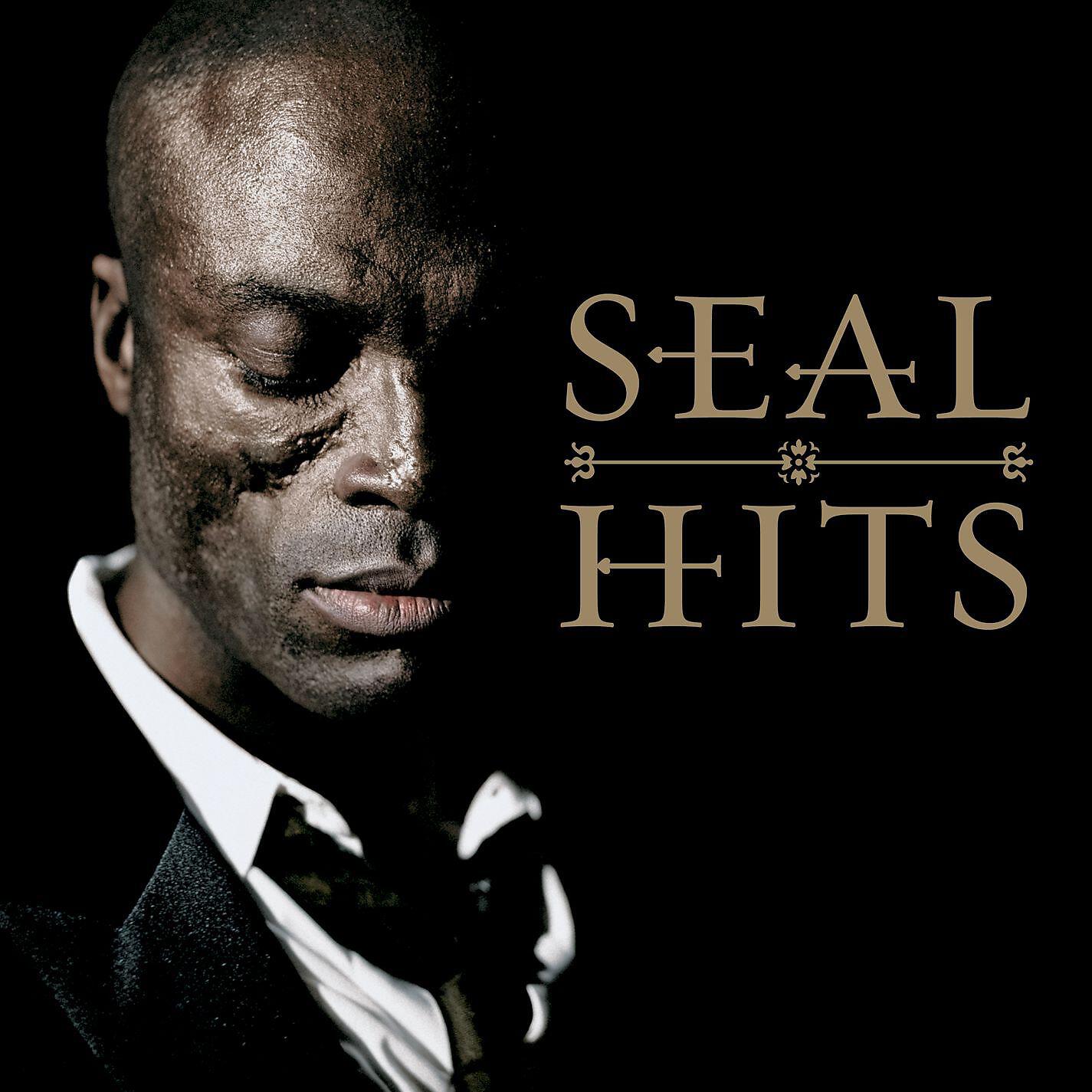 Seal - Fly Like an Eagle