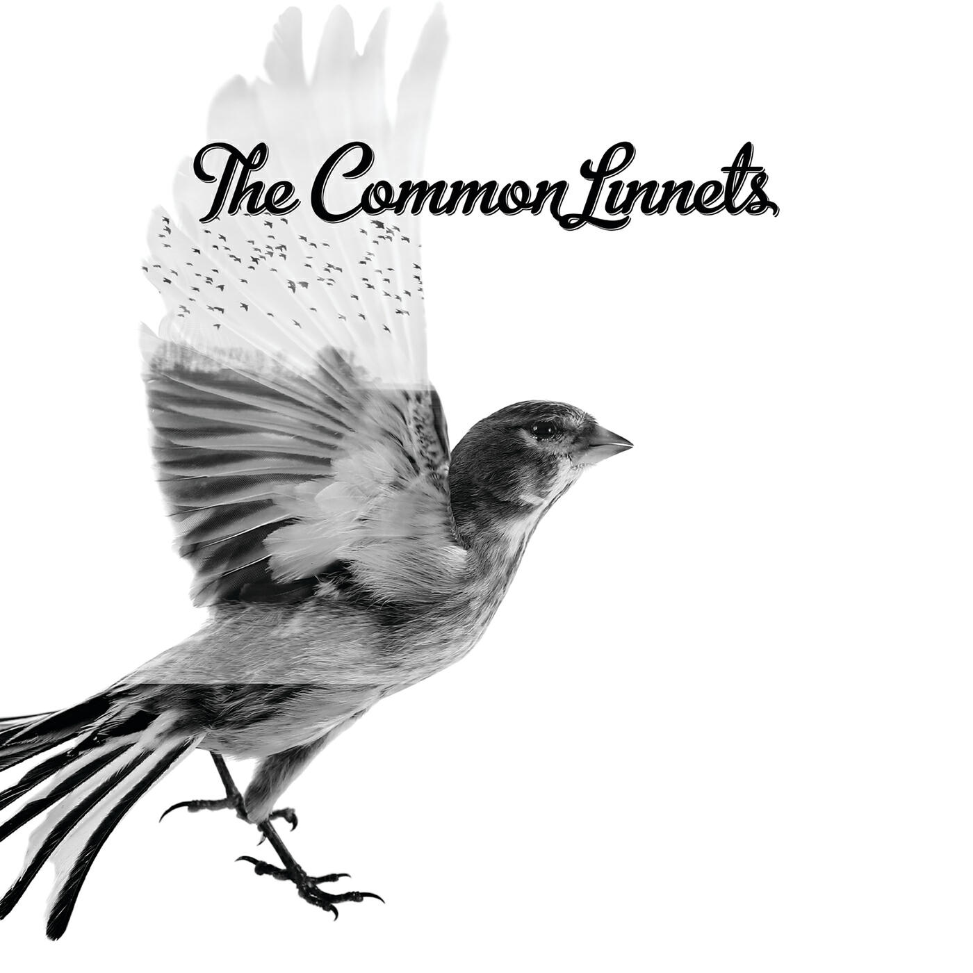 The Common Linnets - Calm After The Storm (Acoustic)