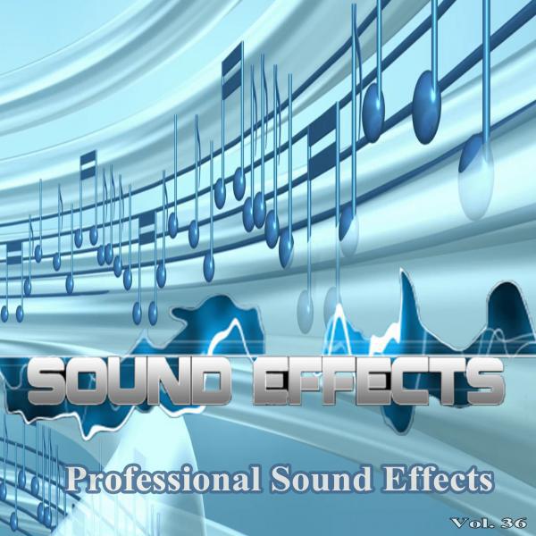 Professional Sound Effects Group - Vomit 2