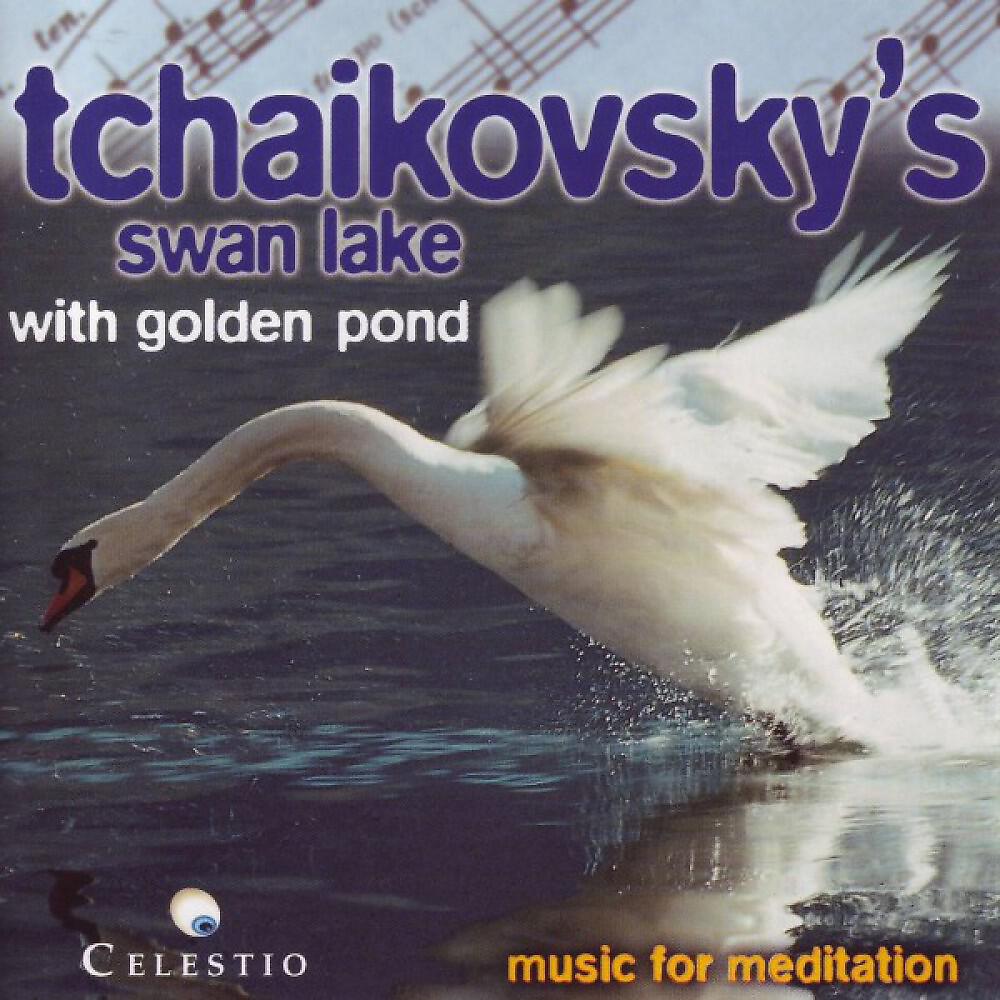 Tchaikovsky - Mazurka - Schwanensee (P.I. Tchaikovsky / Ballet Suite From Swan Lake, Op. 20)