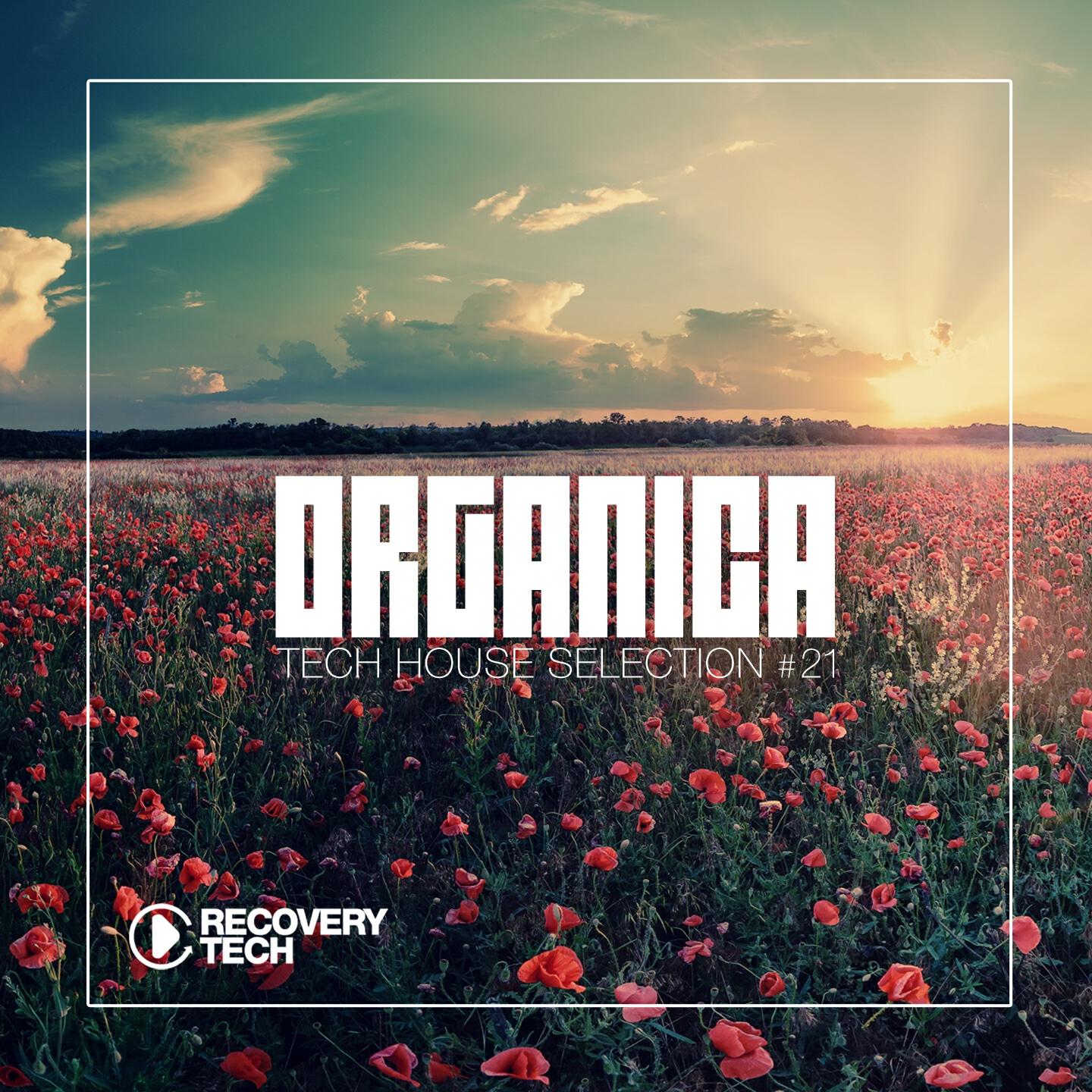 Alessandro Valerio - Insanity