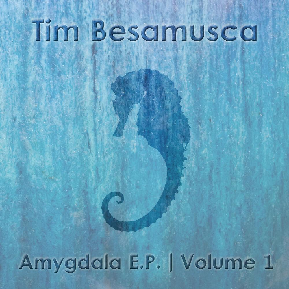 Tim Besamusca - Nothing Lasts (Original Mix)