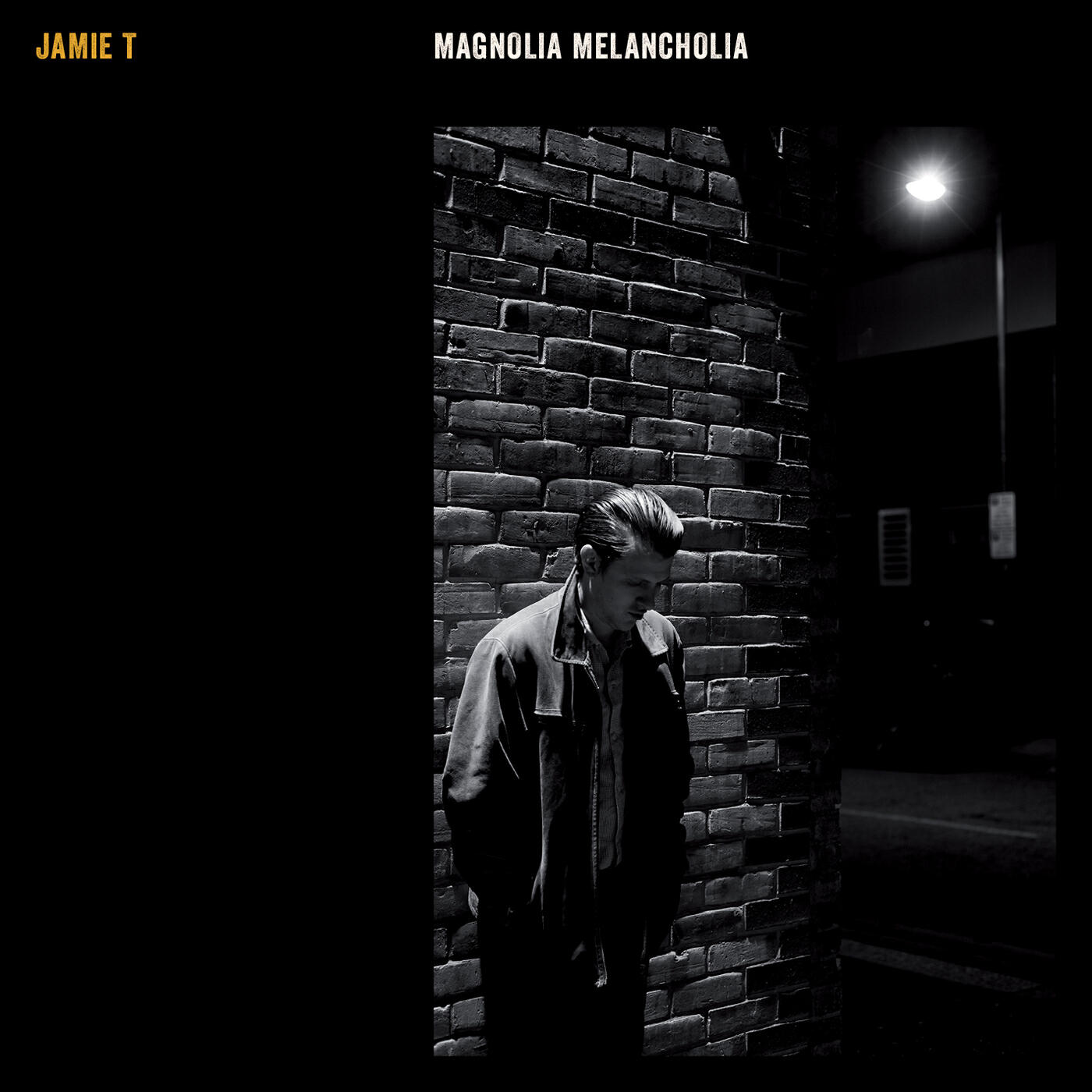 Jamie T - Marilyn Monroe