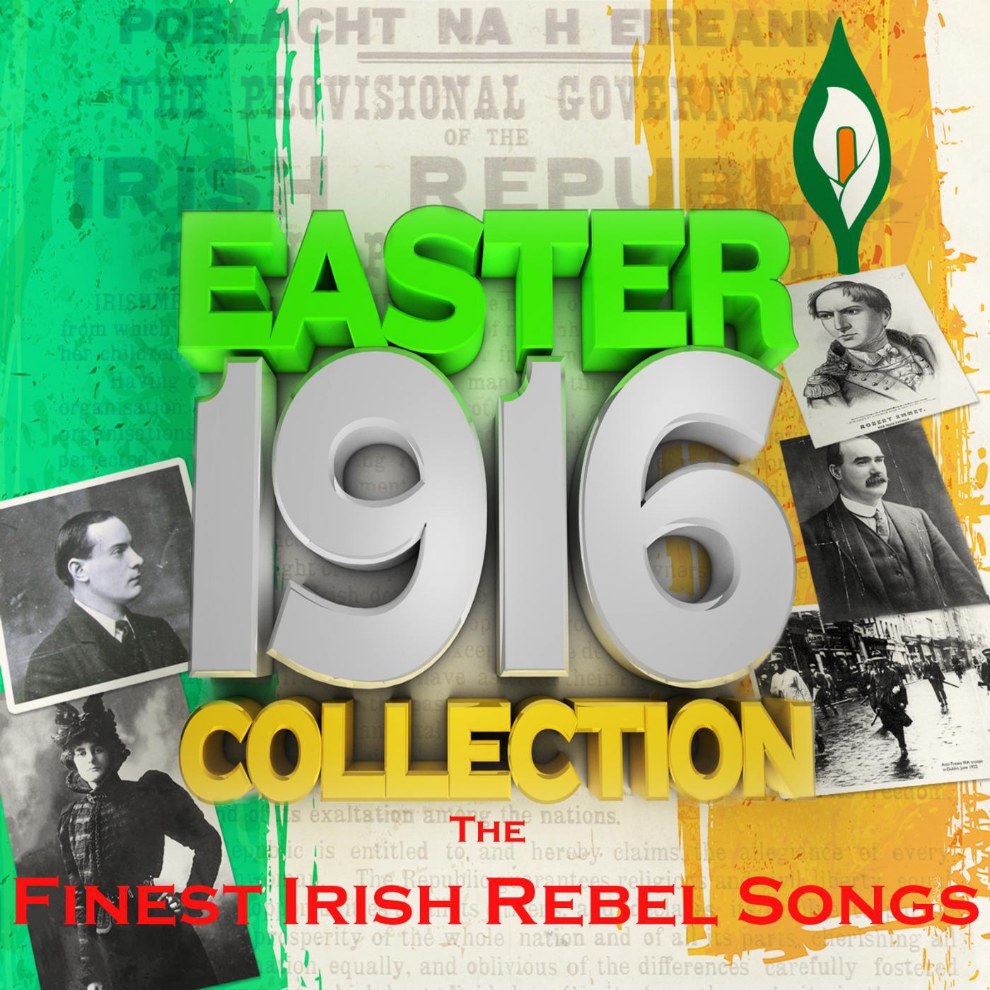 Tulla Ceili Band - The Siege of Ennis