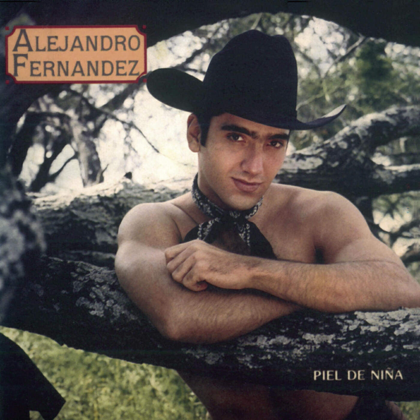 Alejandro Fernández - Mentira, Mentira