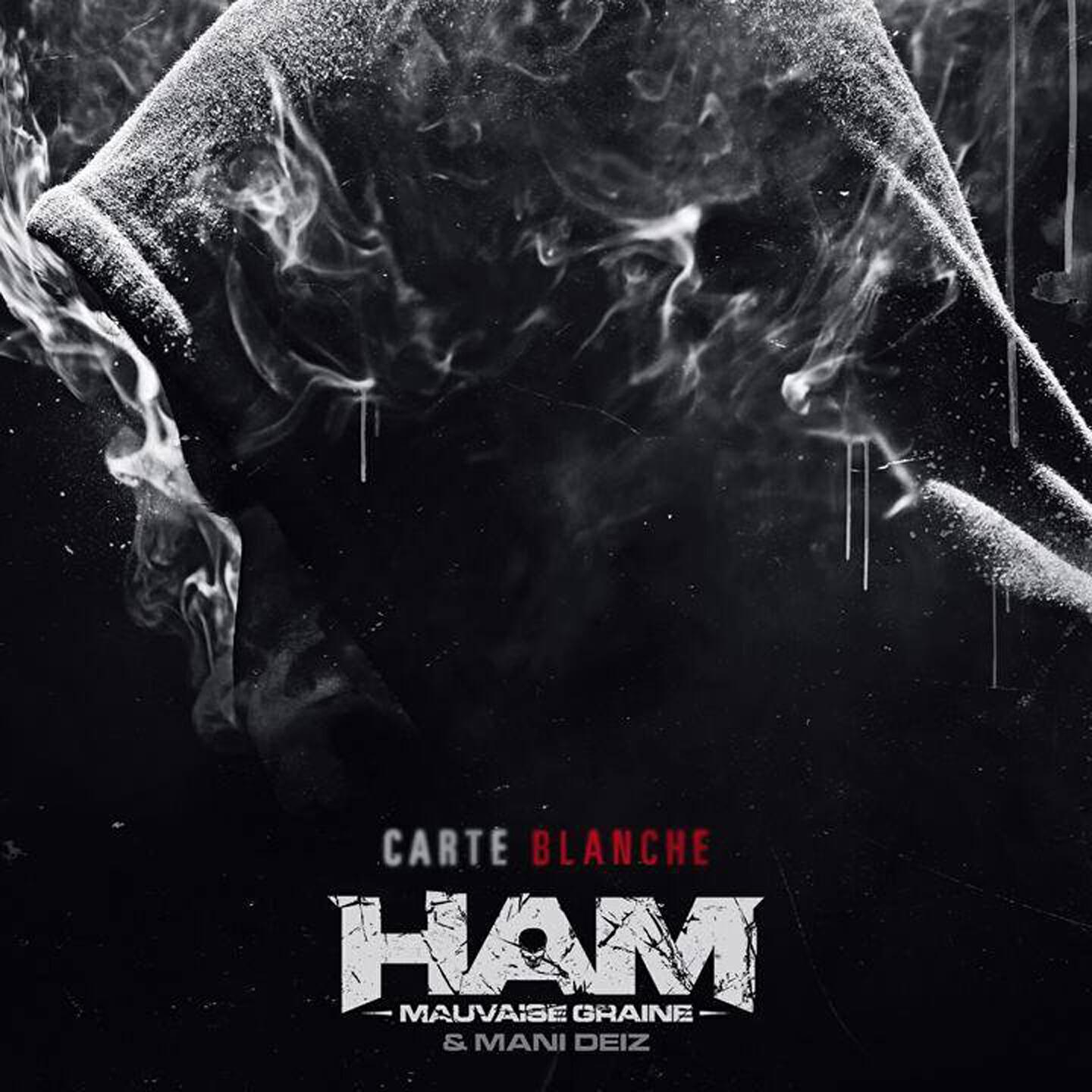 Ham Mauvaise Graine - Caïn