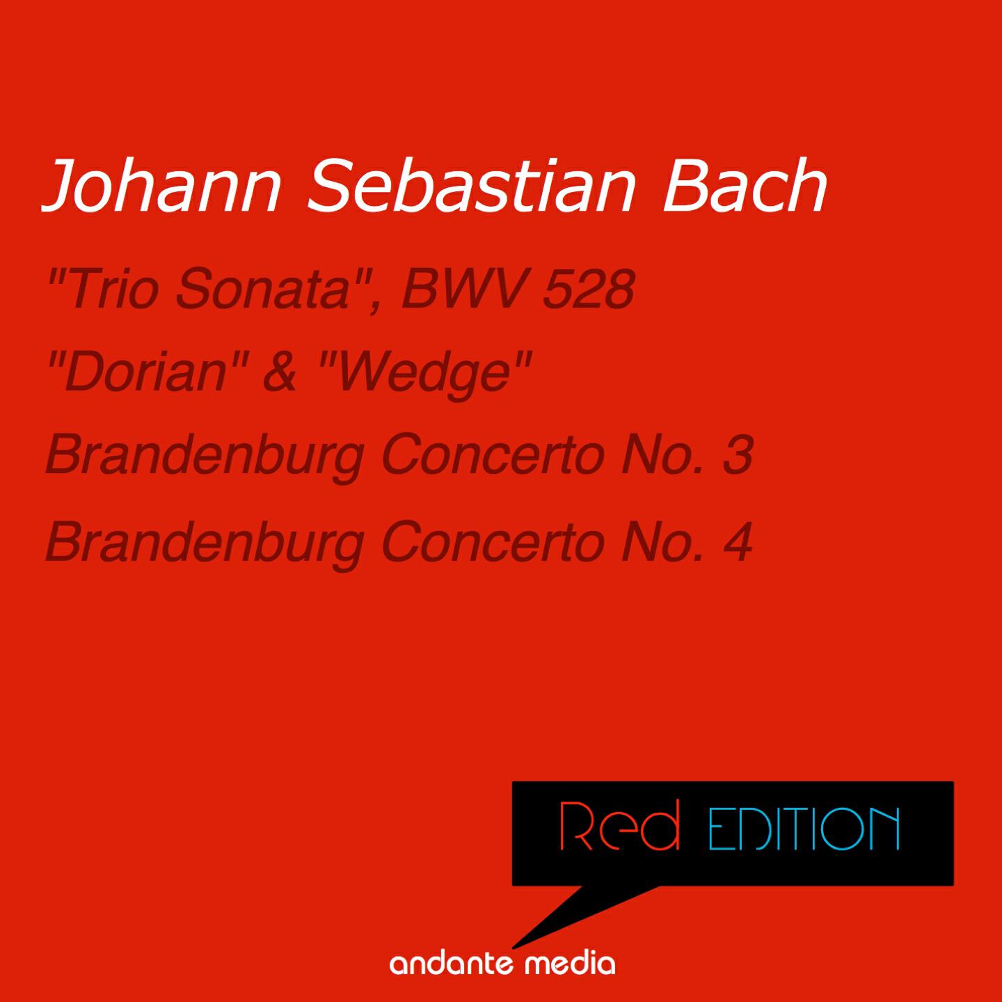 Miklos Spanyi - Toccata and Fugue in D Minor, BWV 538 
