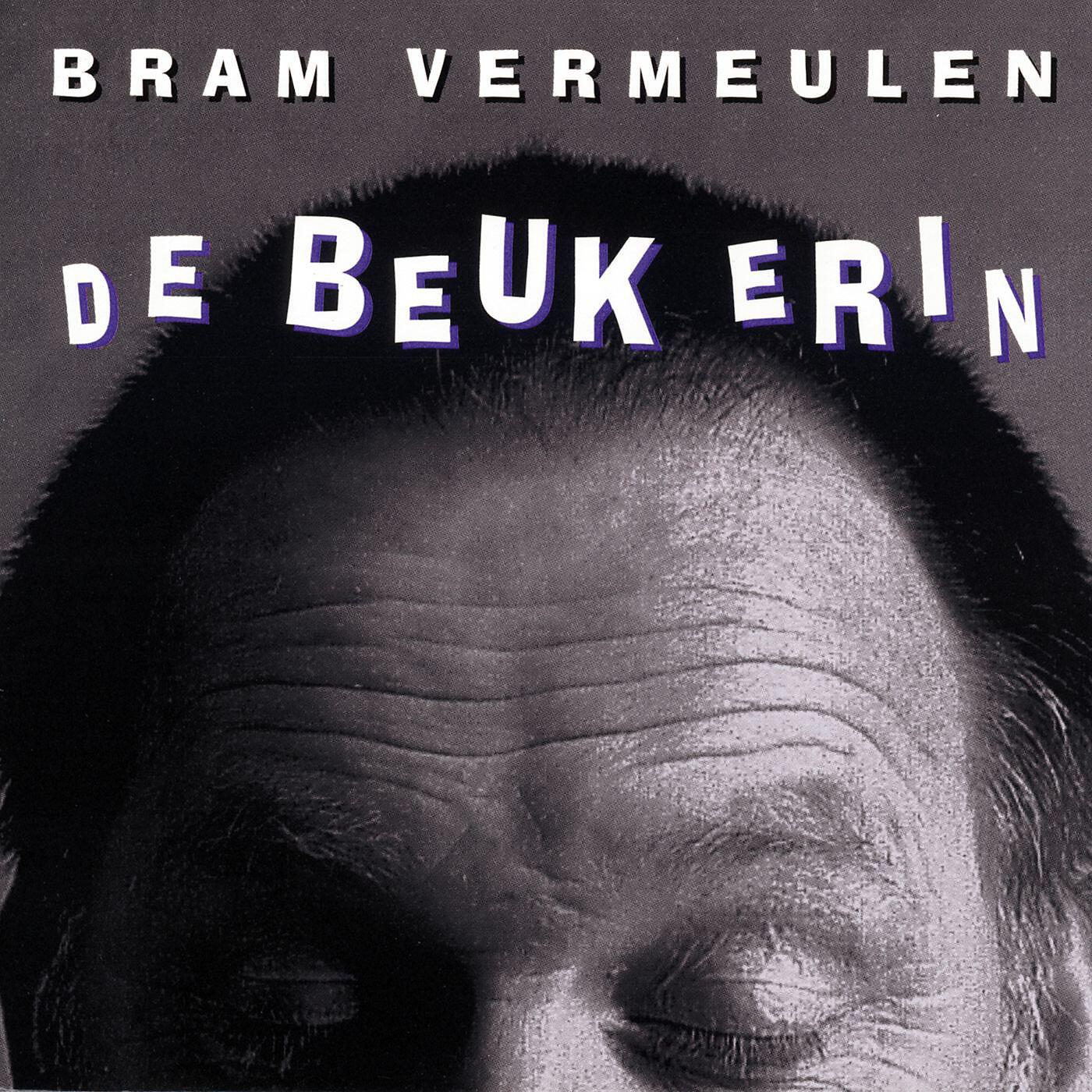 Bram Vermeulen - Laat Dit Nooit Overgaan