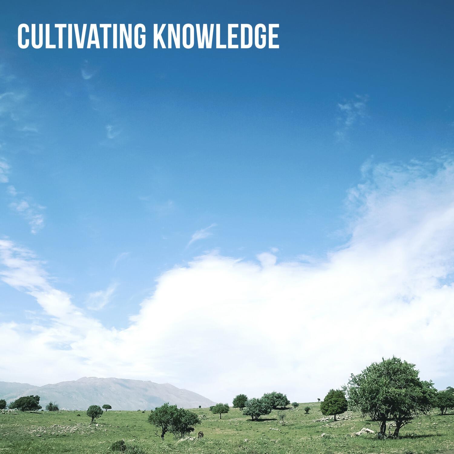 analzi - Cultivating Knowledge