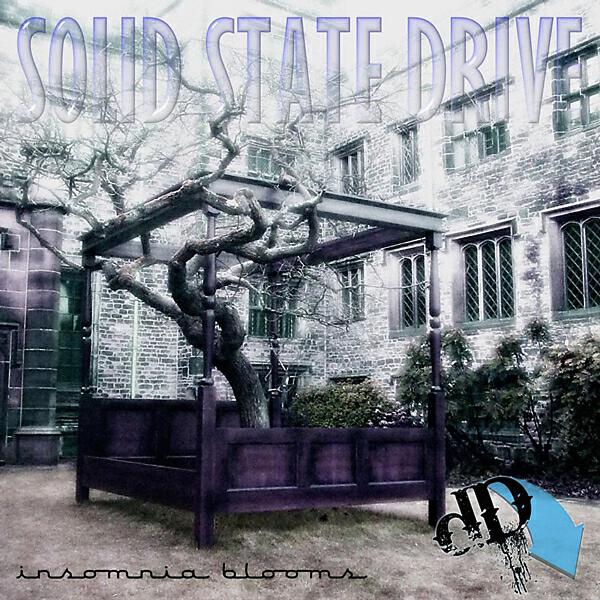 Solid State Drive - String Theory
