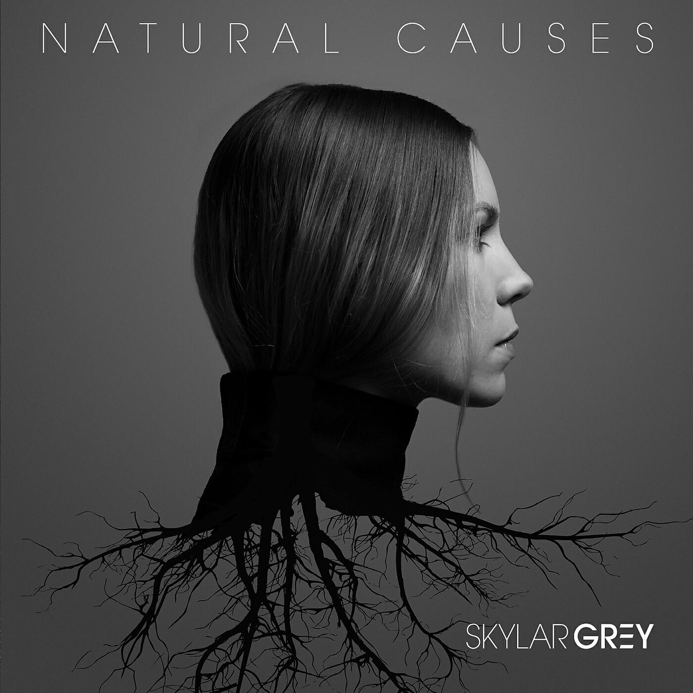 Skylar Grey - Kill For You