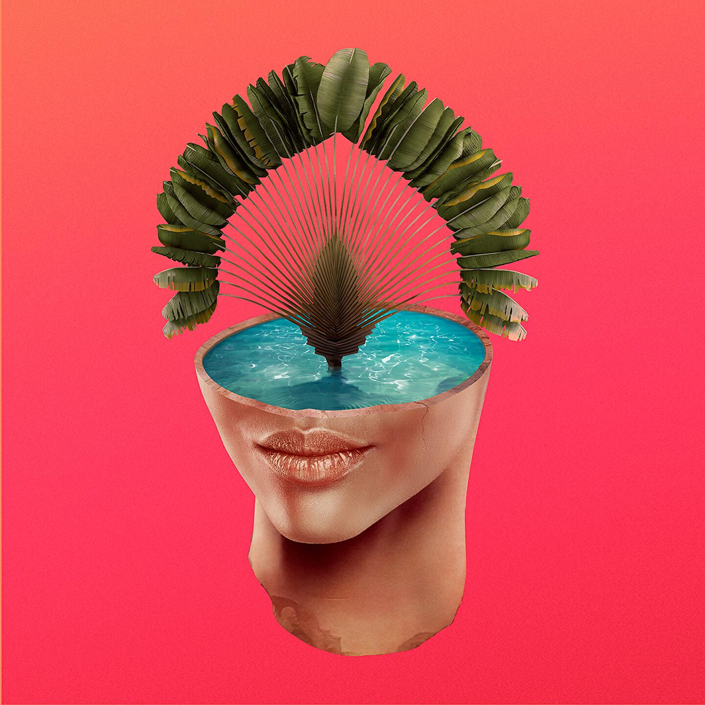 Bad Karma Boy - Palmy