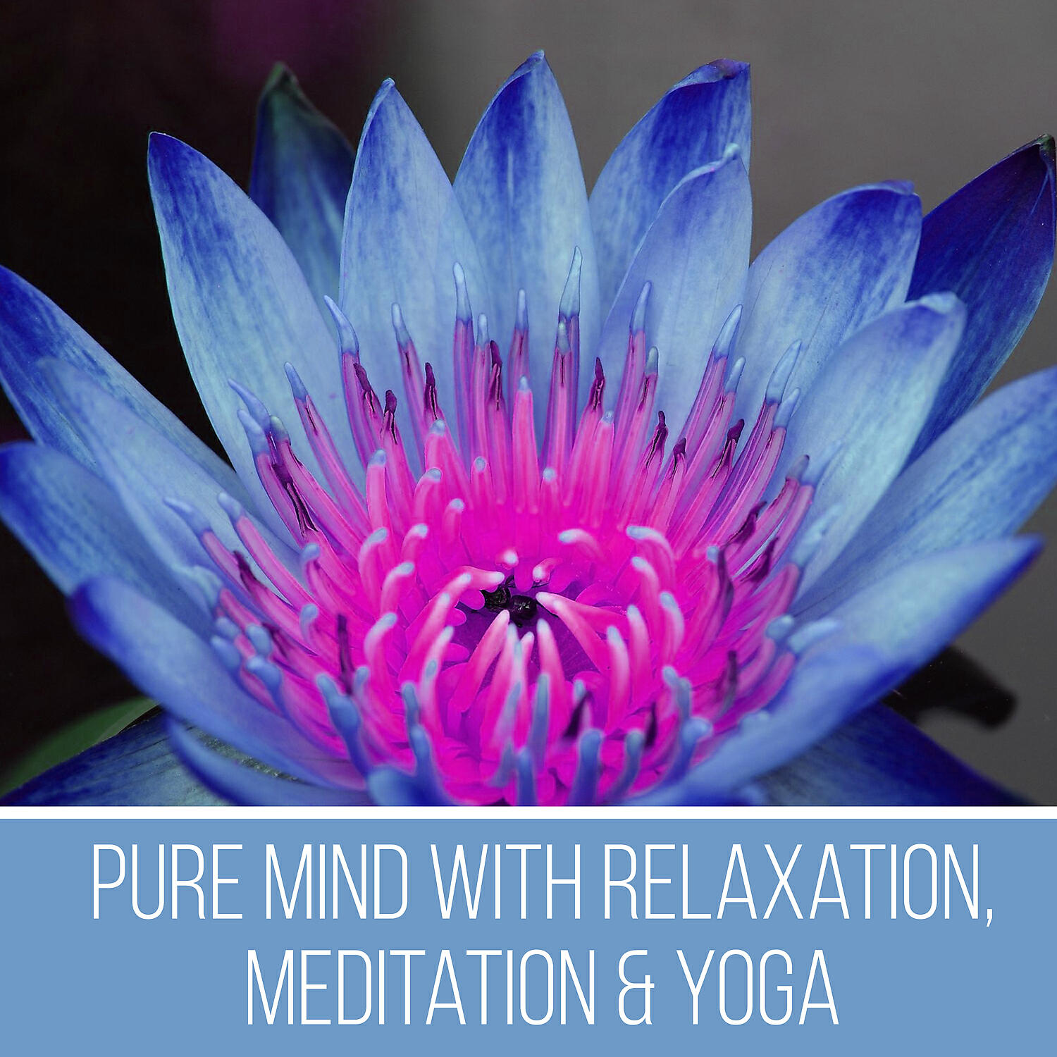 Kundalini: Yoga - Reiki Spirit