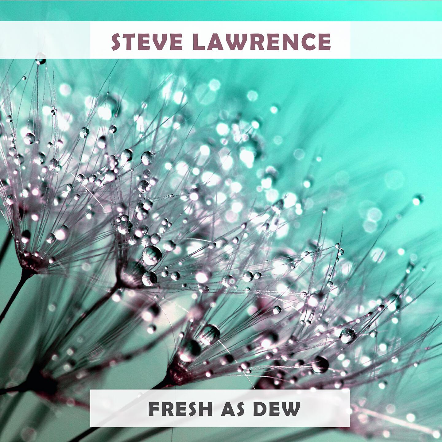 Steve Lawrence - Don't Blame Me