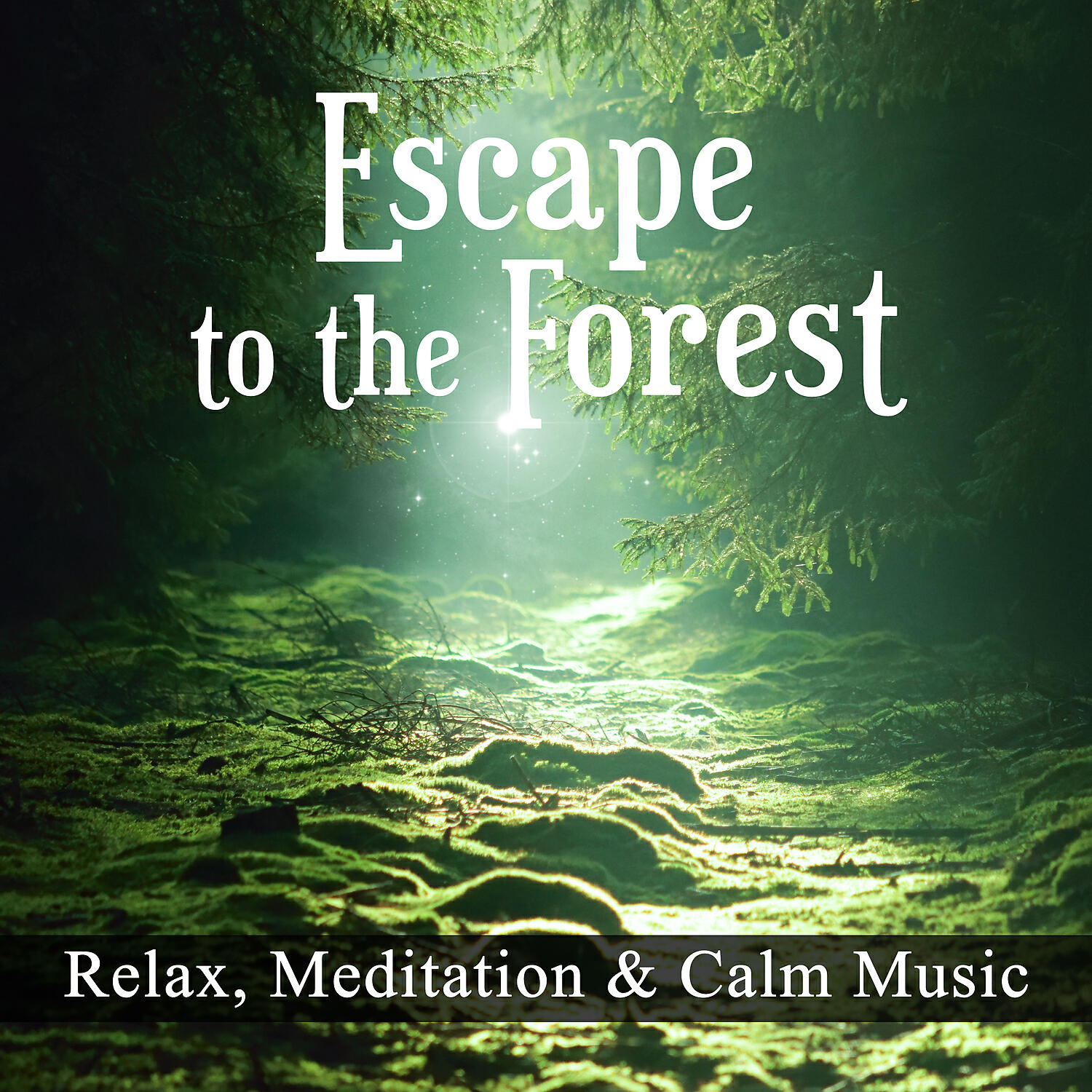Chakra Healing Music Academy - Healing Rain Sounds