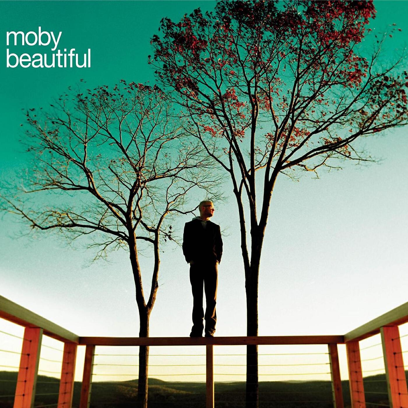 Moby - Beautiful (Benny Benassi Remix)