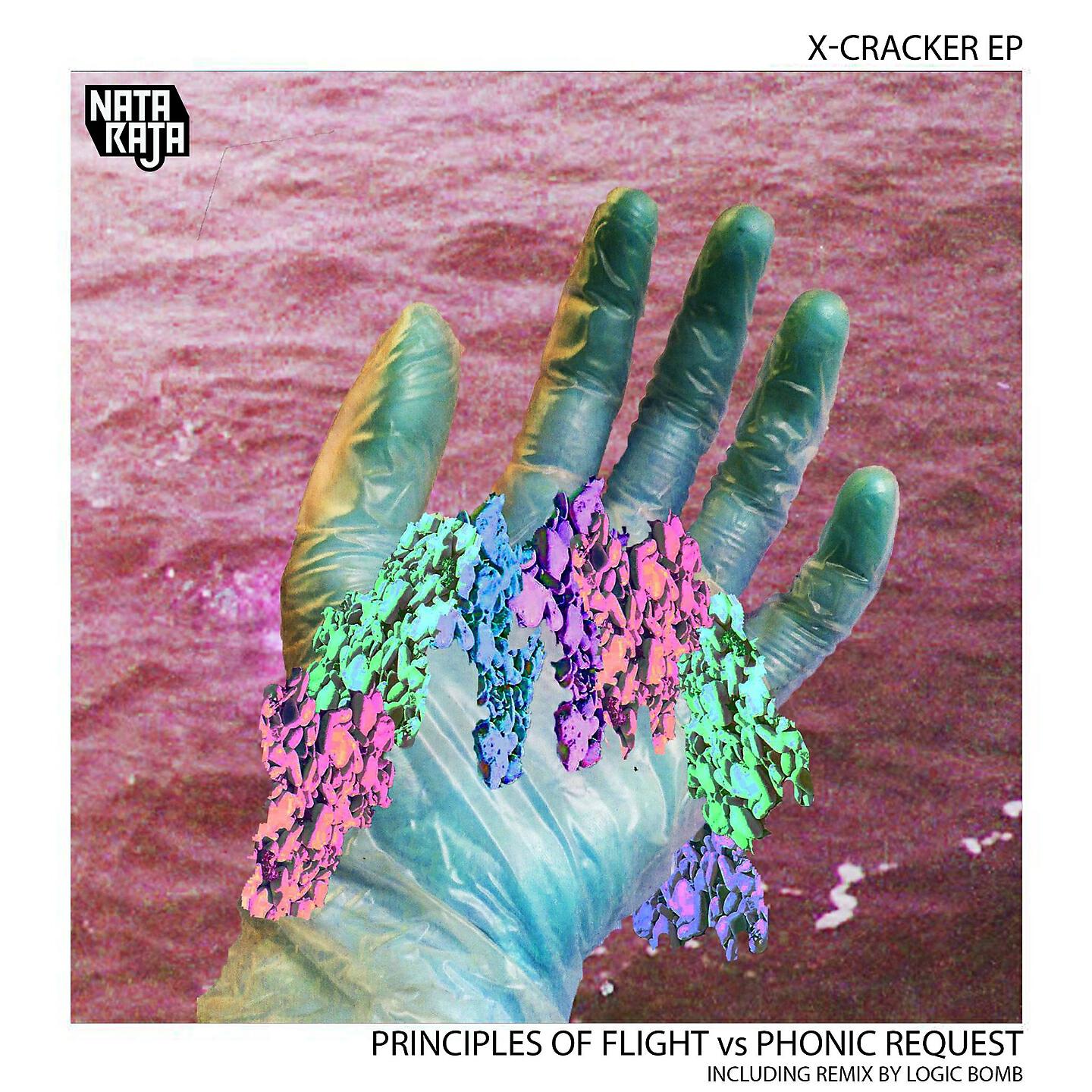 Principles Of Flight - X-Cracker (Logic Bomb Remix)