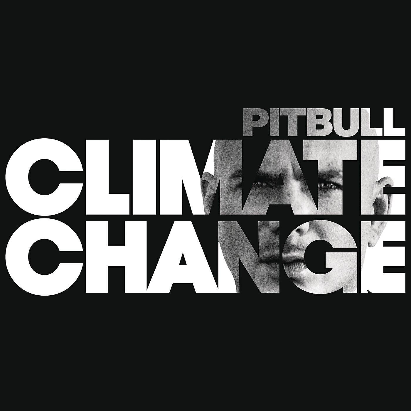 Pitbull - Bad Man