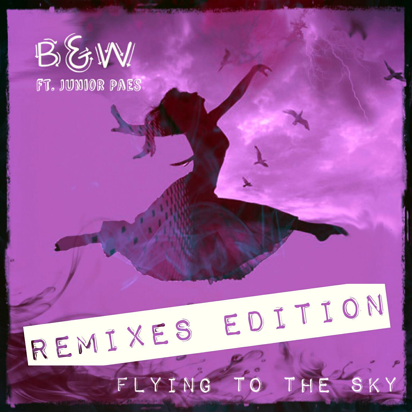 B&W - Flying To The Sky (DJ-V. Remix)