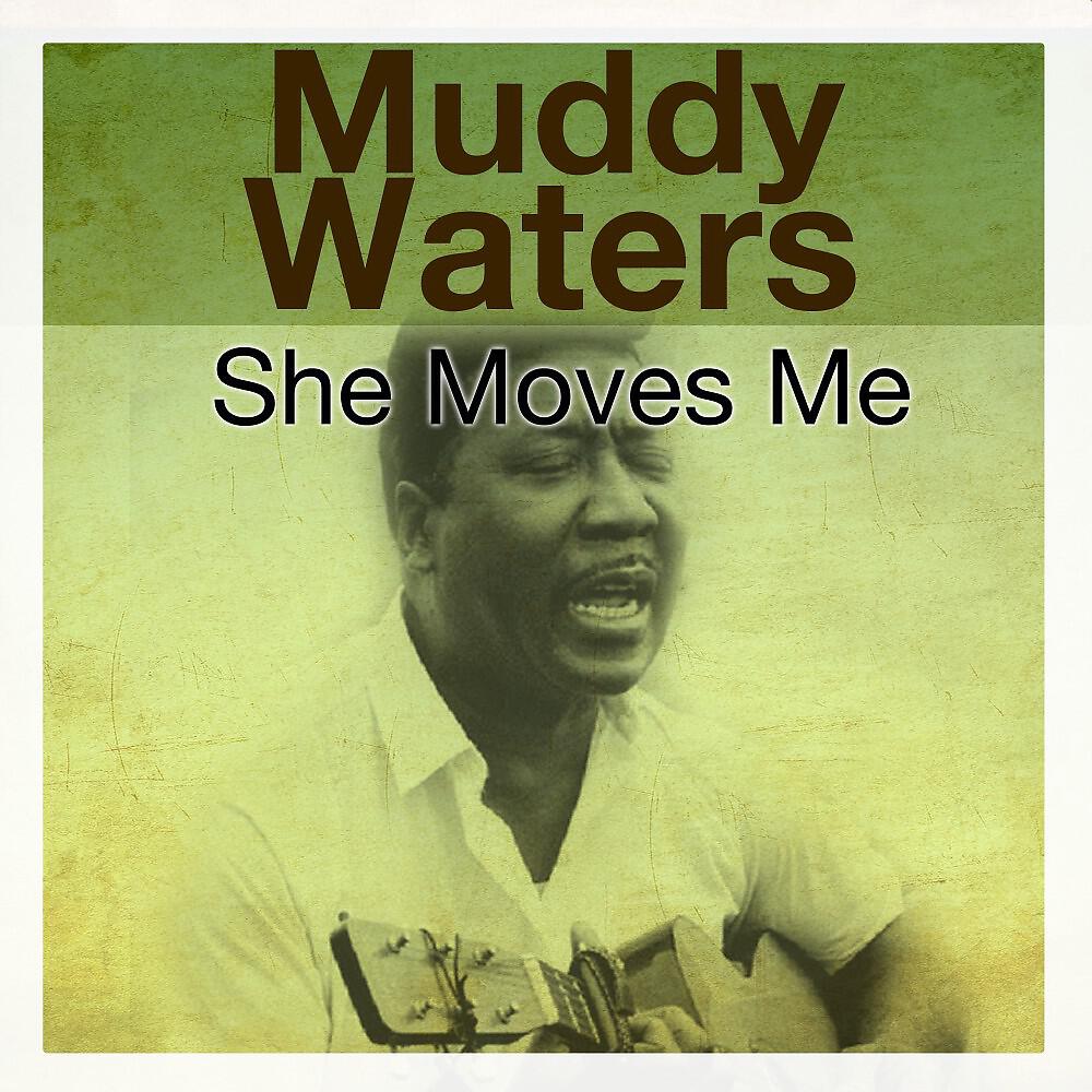 Muddy Waters - Joe Turner Blues