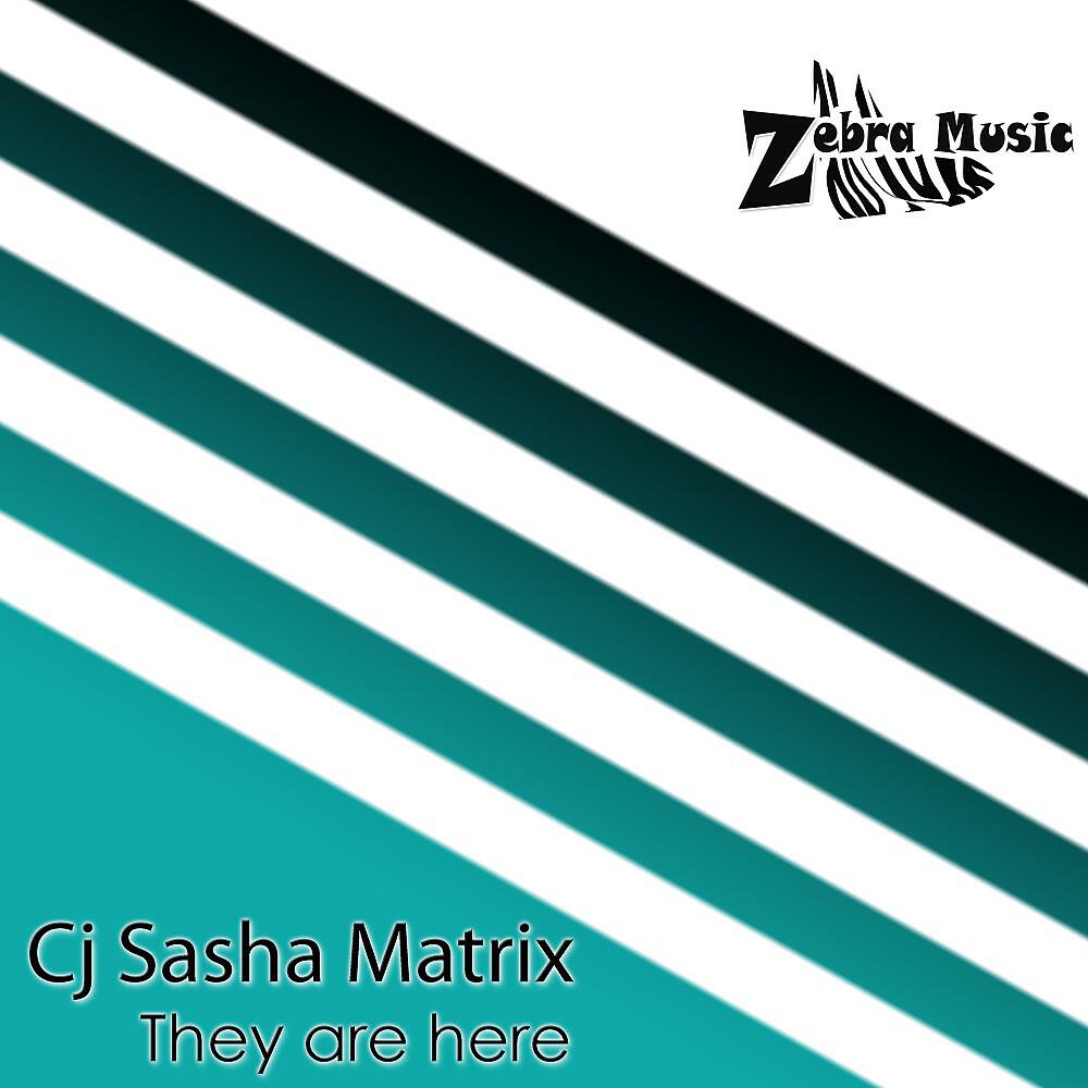 Cj Sasha Matrix - Ninja (Original Mix)