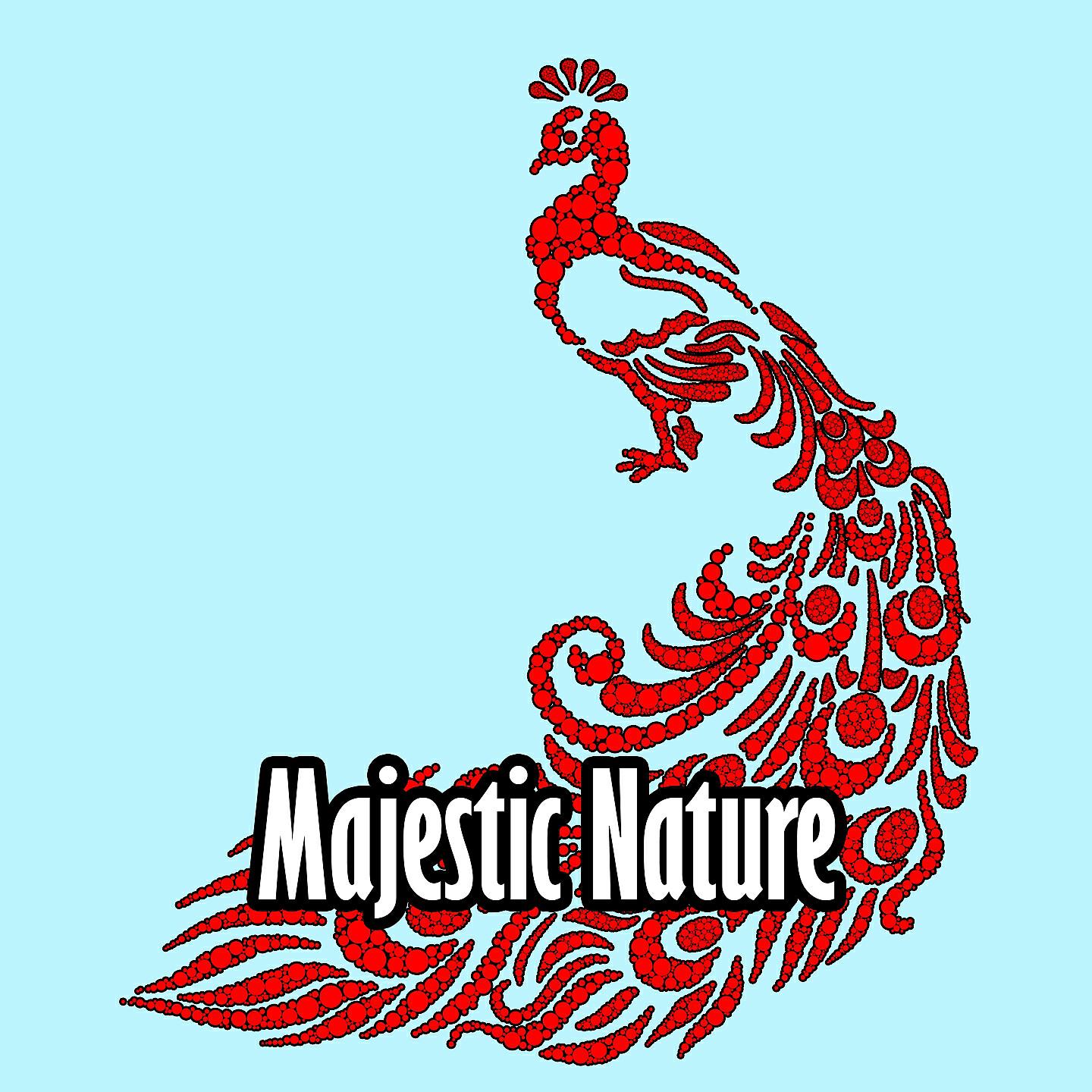 Echoes Of Nature - Peaceful Spirit