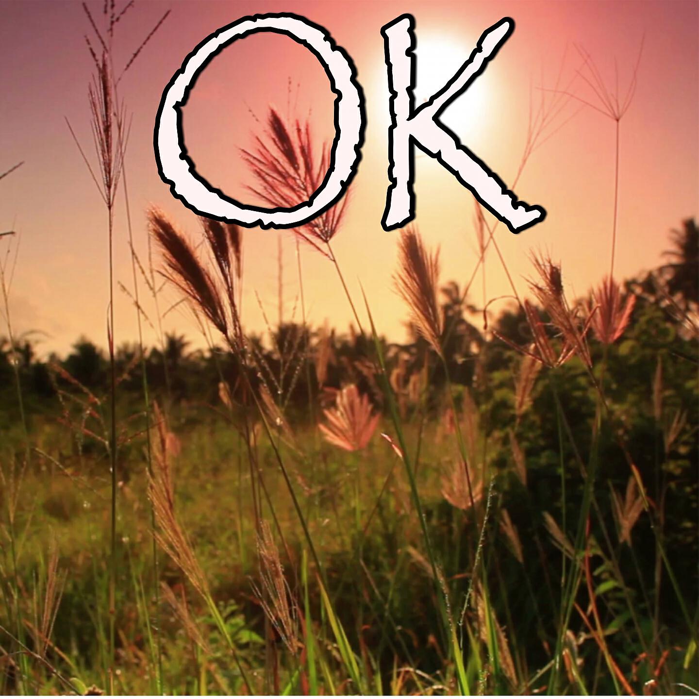 2017 Billboard Masters - OK (Okay) - Tribute to Robin Schulz and James Blunt