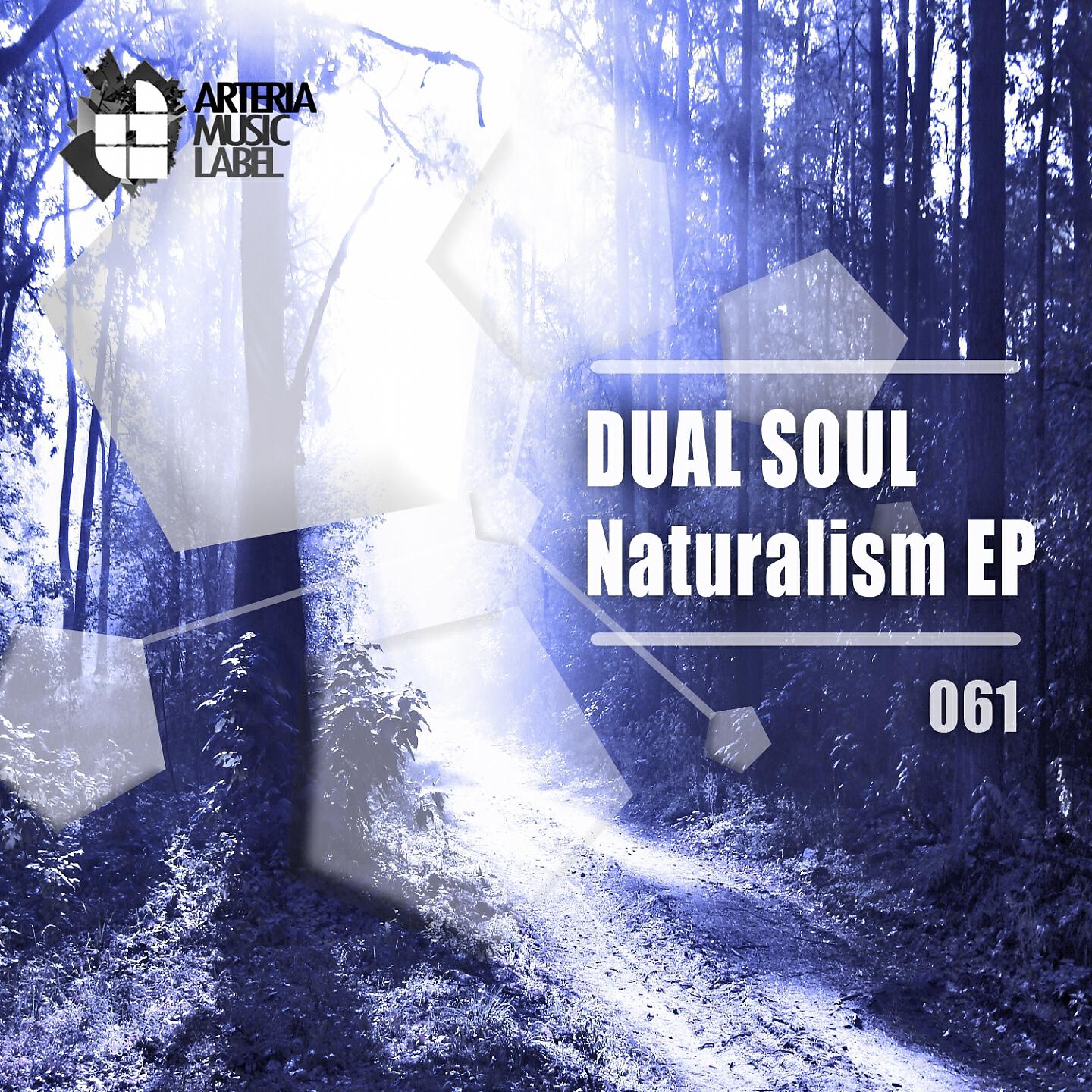 Dual Soul - Portal (Original Mix)