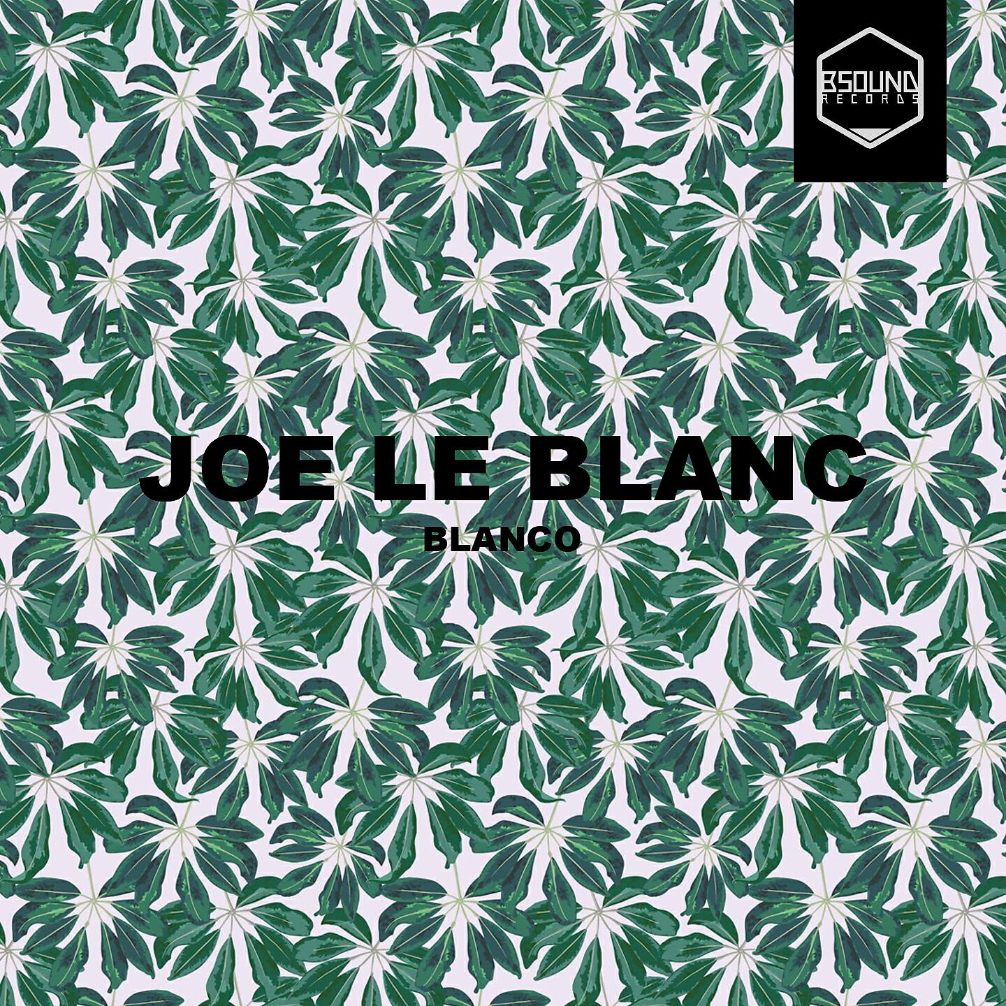 Joe Le Blanc - Glacial