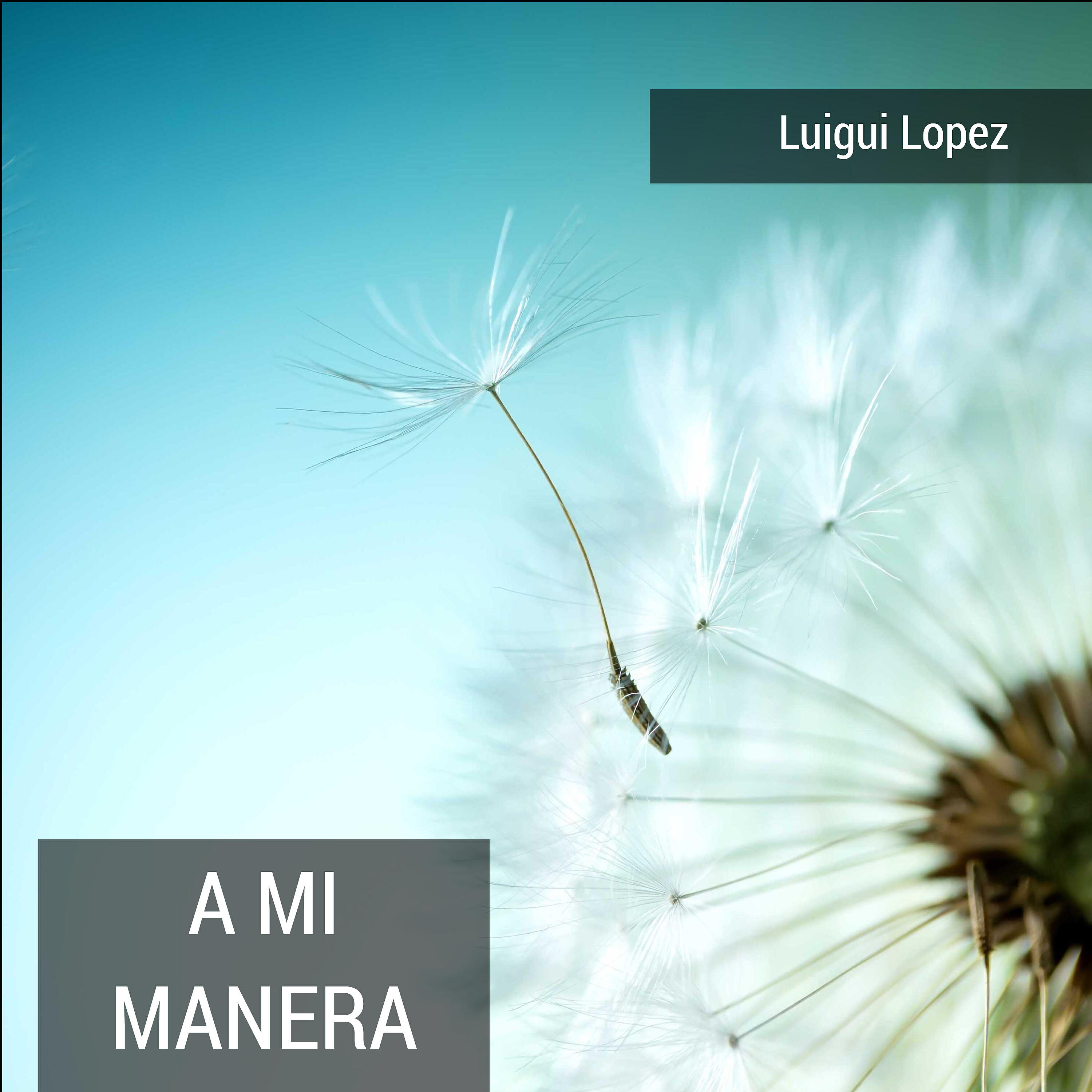 Luigui Lopez - Mi Peticion