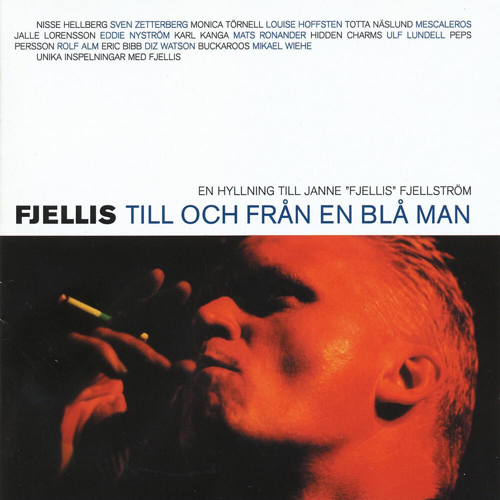 Janne Fjellström - Sugar Coated Love