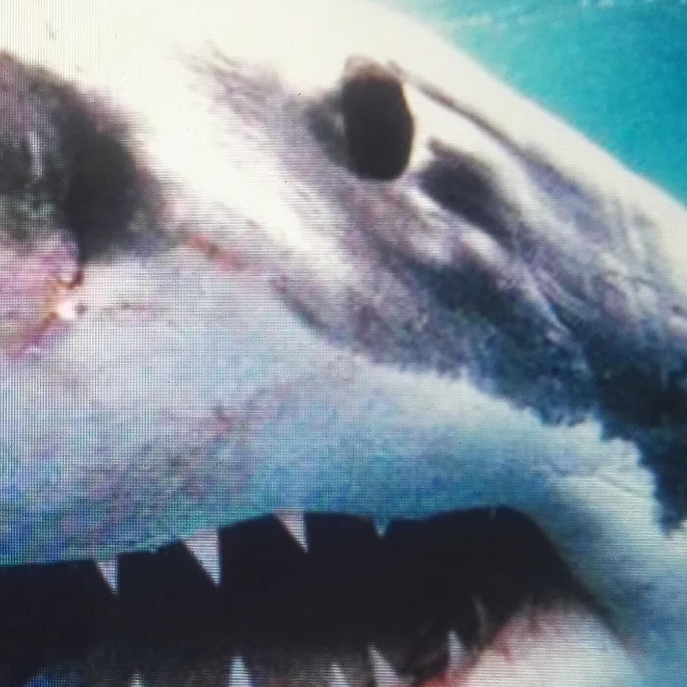 Kool Savas - Alles noch beim Alten