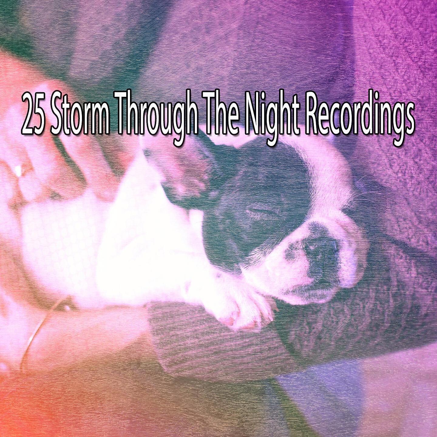 Thunderstorm Sleep - Rain With Quiet Bird Chorus