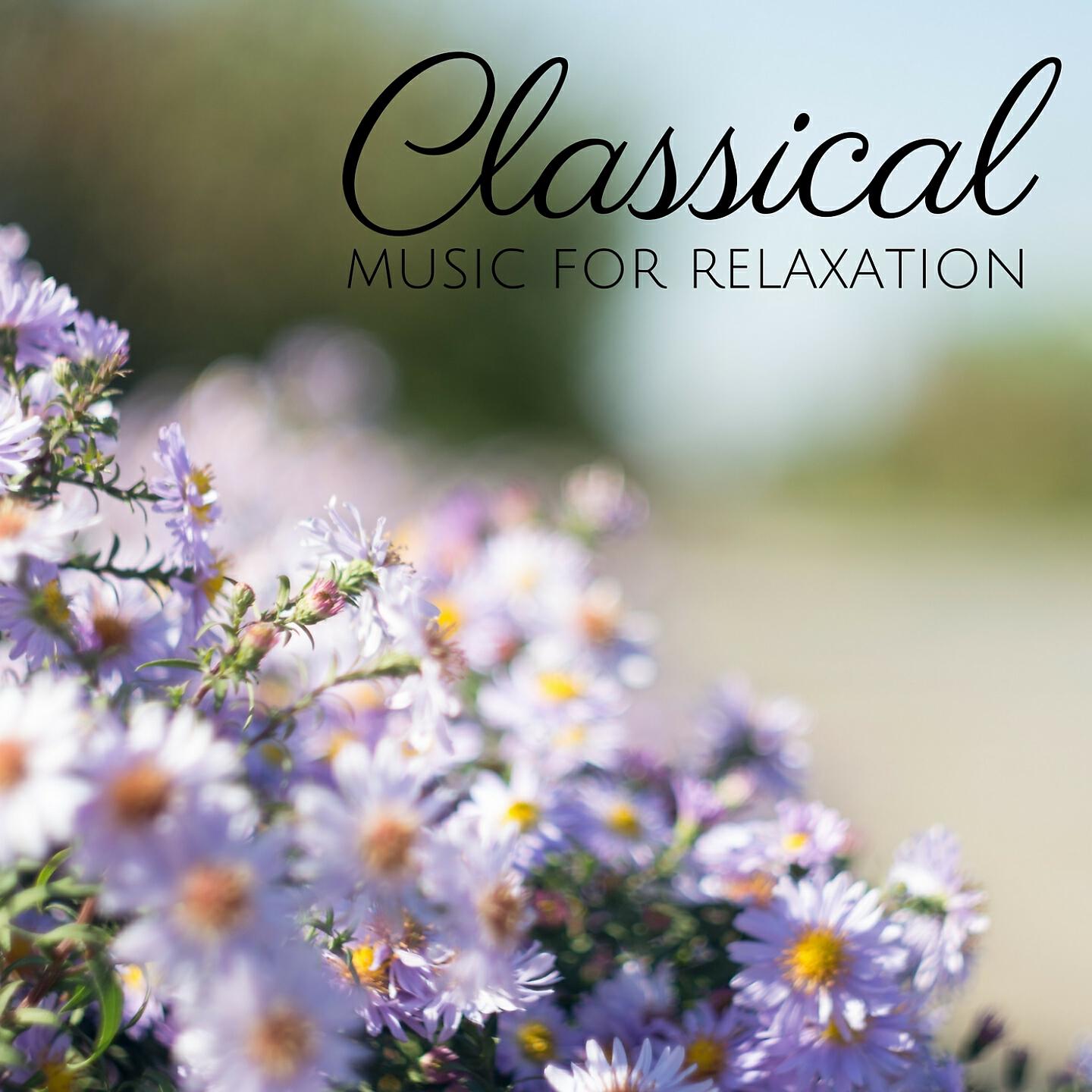 Opole Philarmonic Orchestra - Flute Concerto No. 1 in G Major, K. 313: III. Rondò - Minuetto
