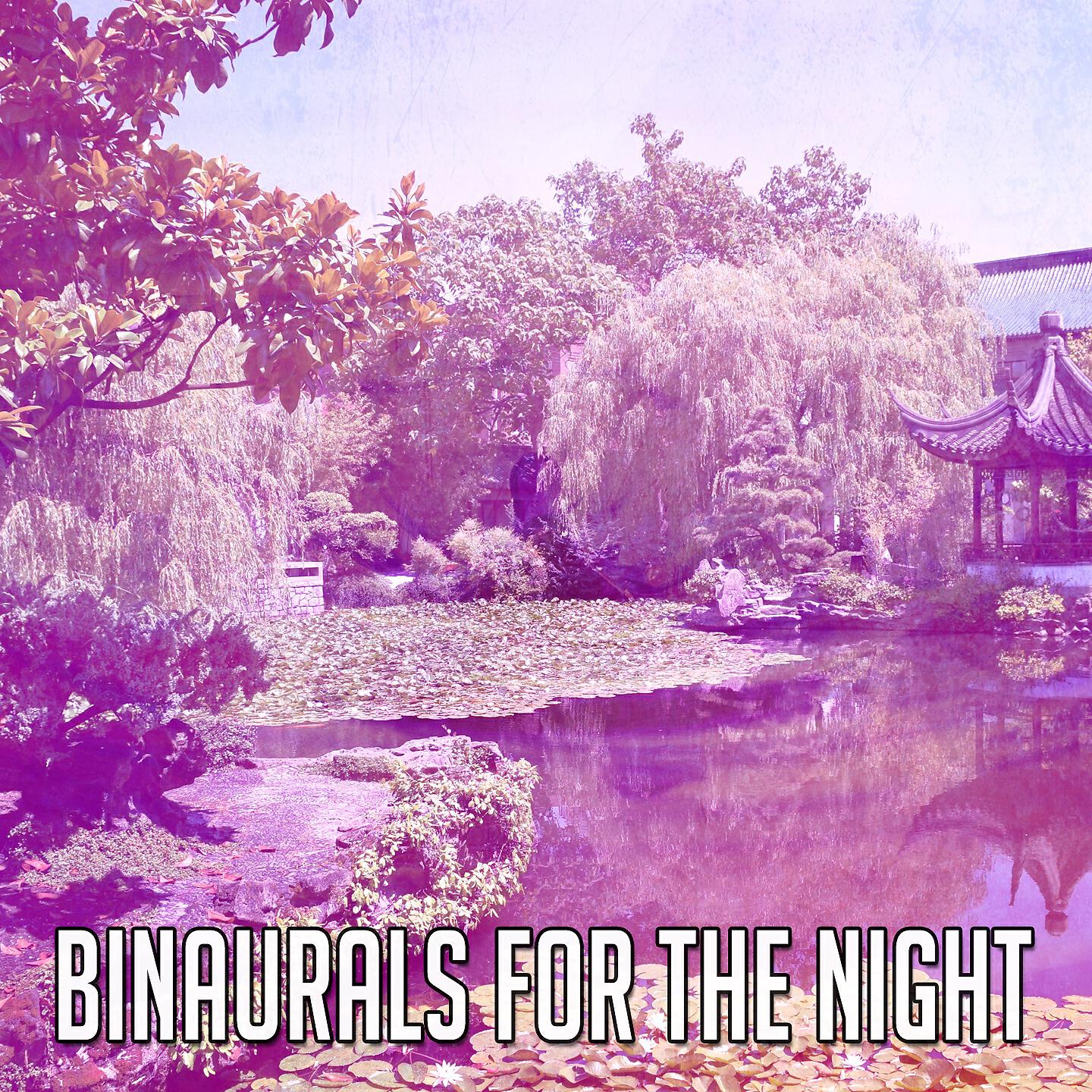 Binaural Beats Brain Waves Isochronic Tones Brain Wave Entrainment - The Slow Binaural Chime