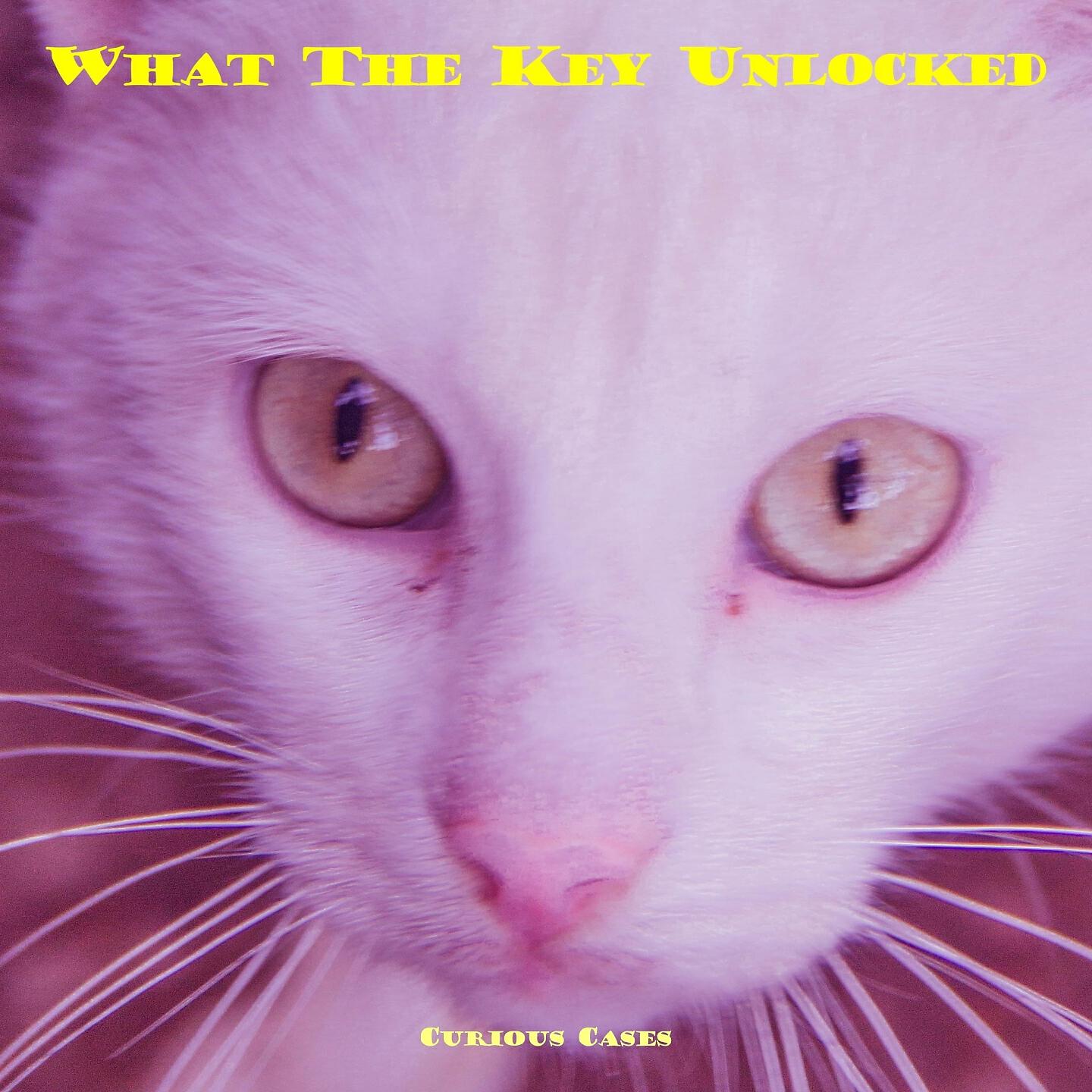 Curious Cases - What The Key Unlocked